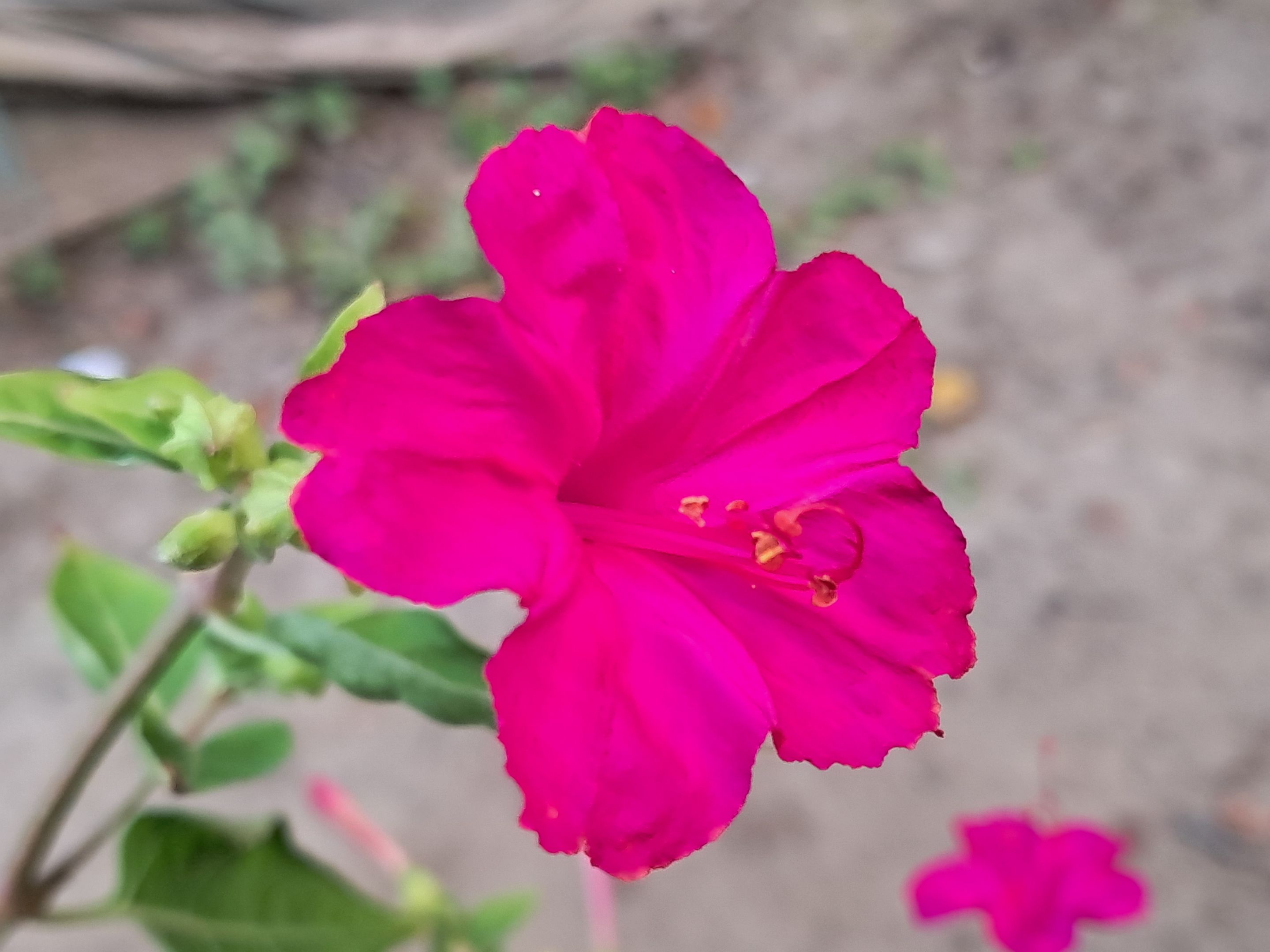 20250906_061433.jpg