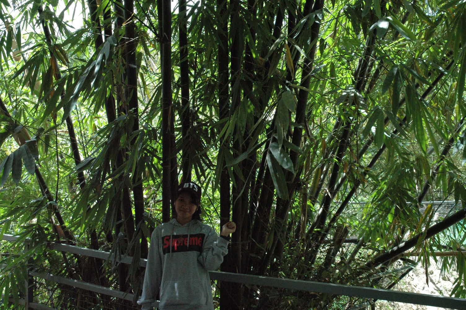 DSC_0126.JPG