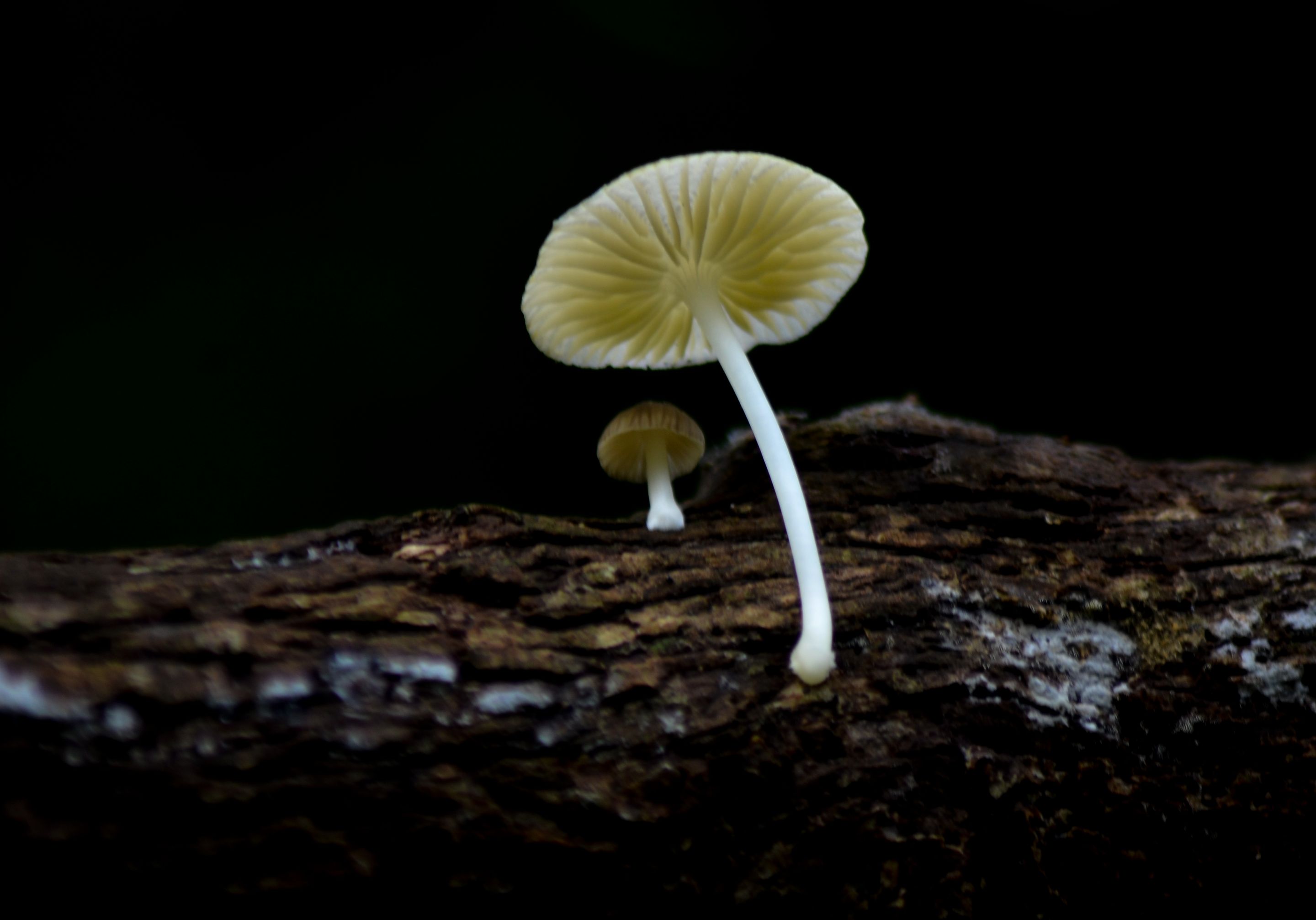 _AHW3701.jpg