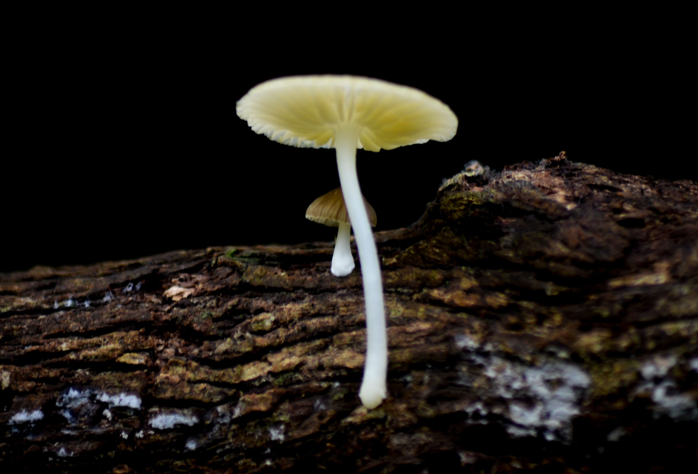 _AHW3707.jpg