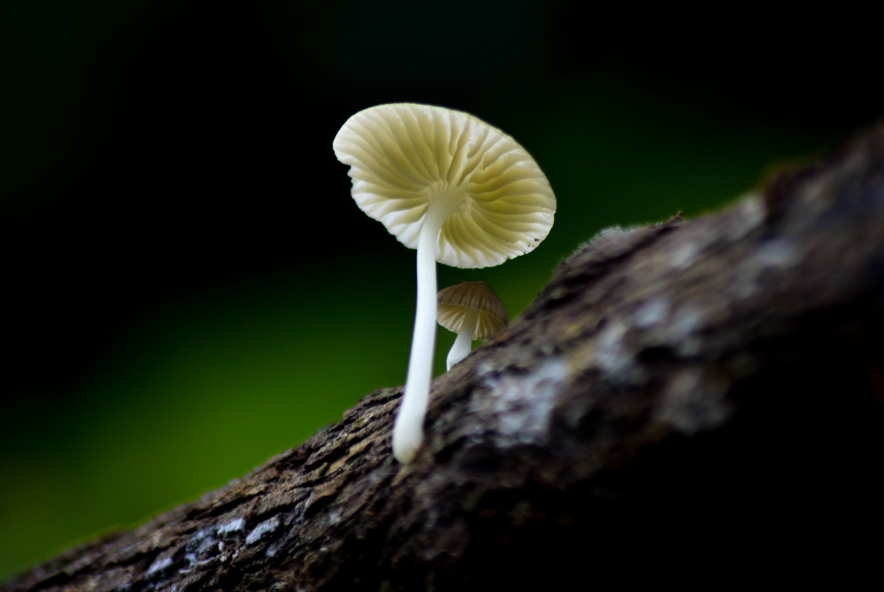 _AHW3697.jpg