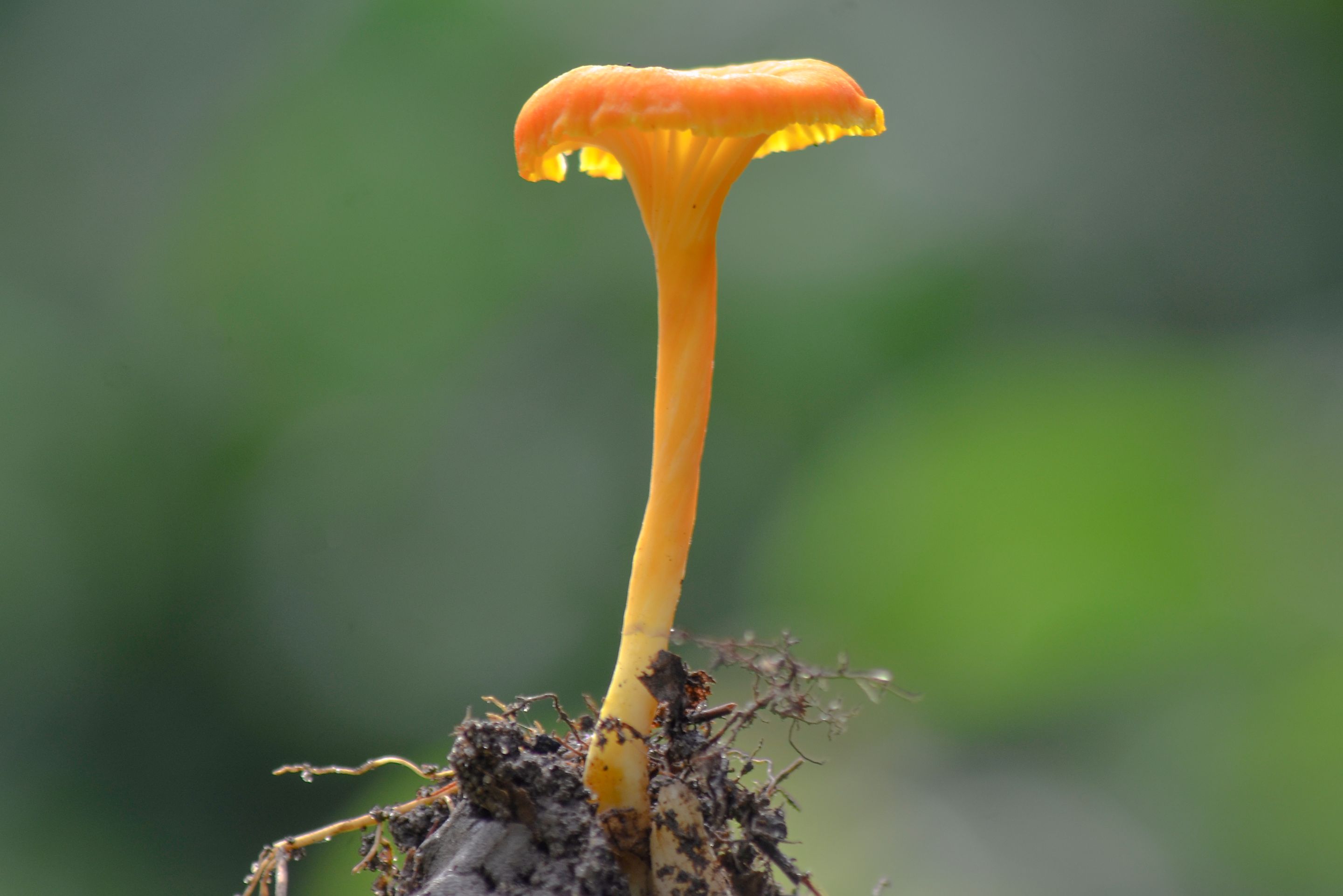 _AHW3809.jpg