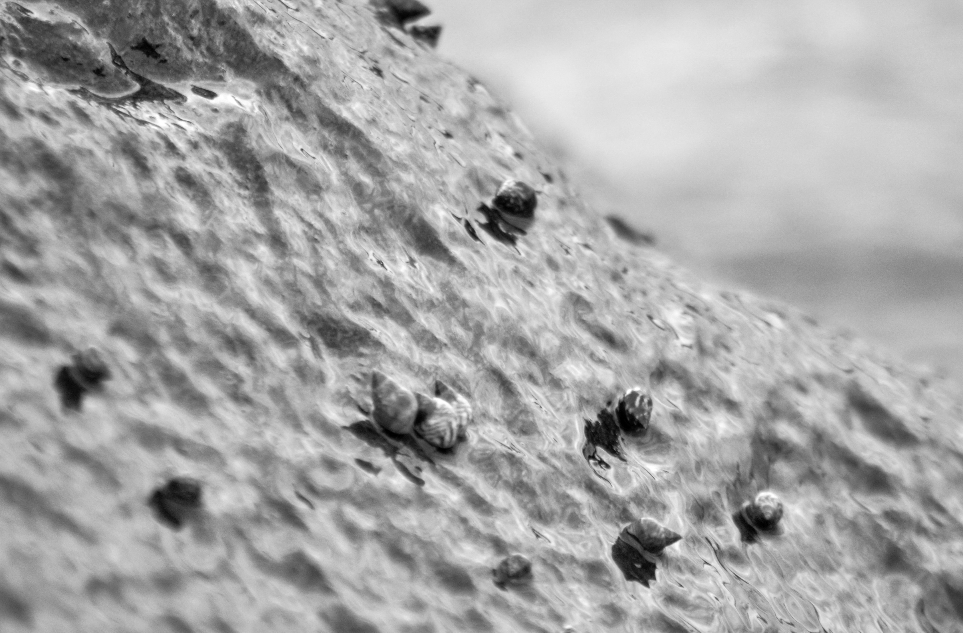 _AHW0771.jpg