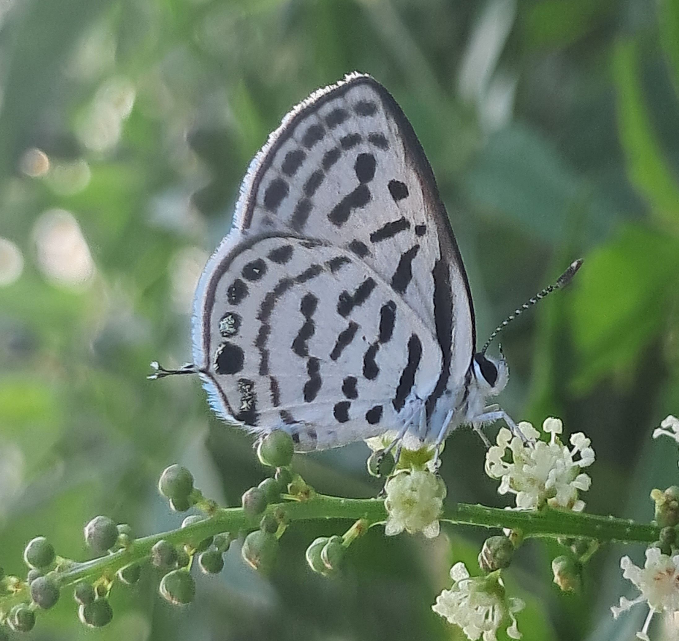 20250724_173353.jpg