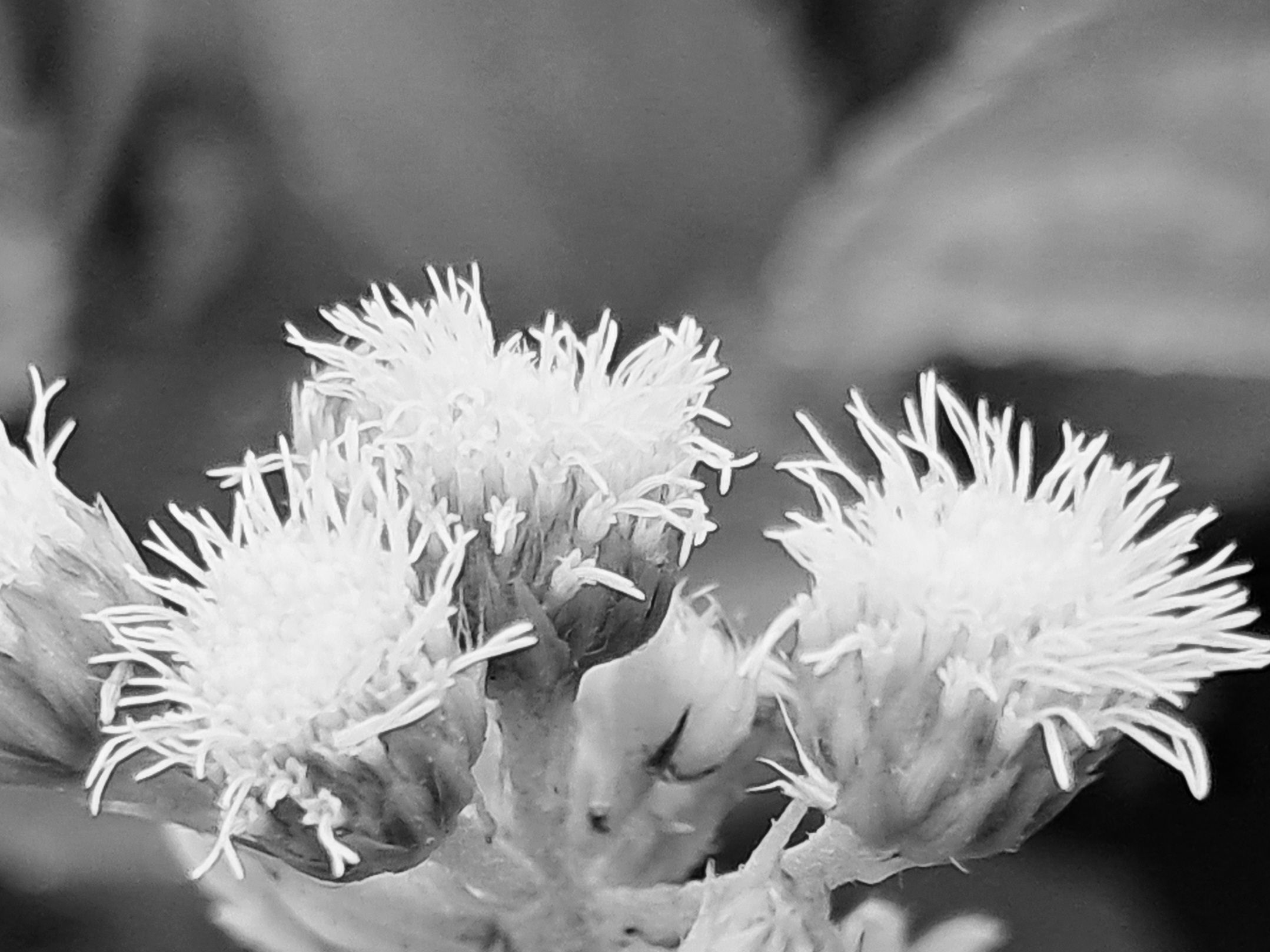 20250820_061014.jpg