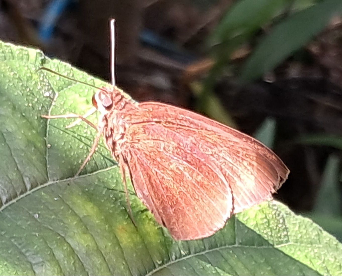 20250927_114152.jpg