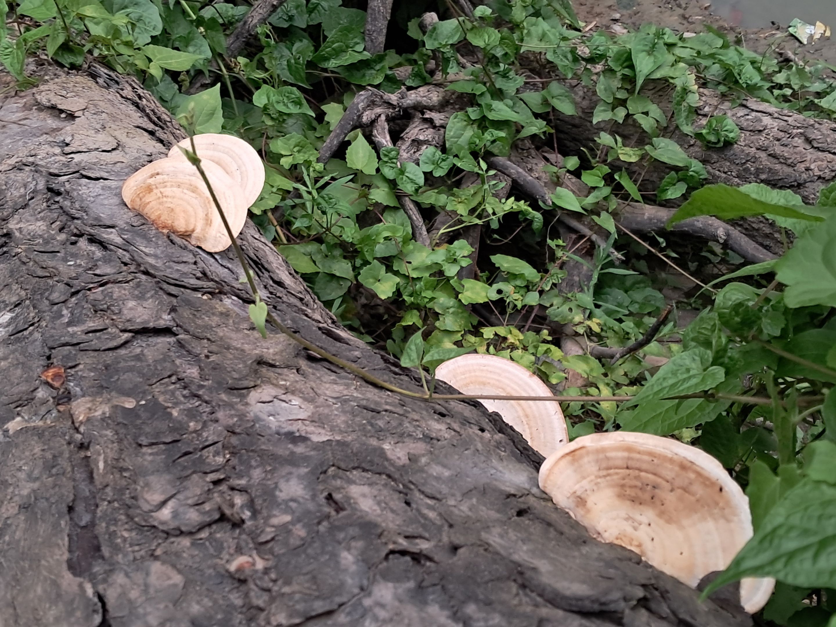 20250511_174756.jpg