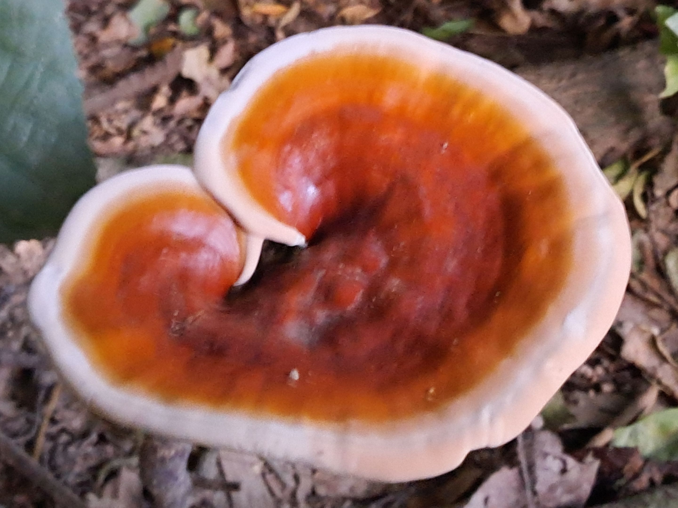 20250811_183912.jpg