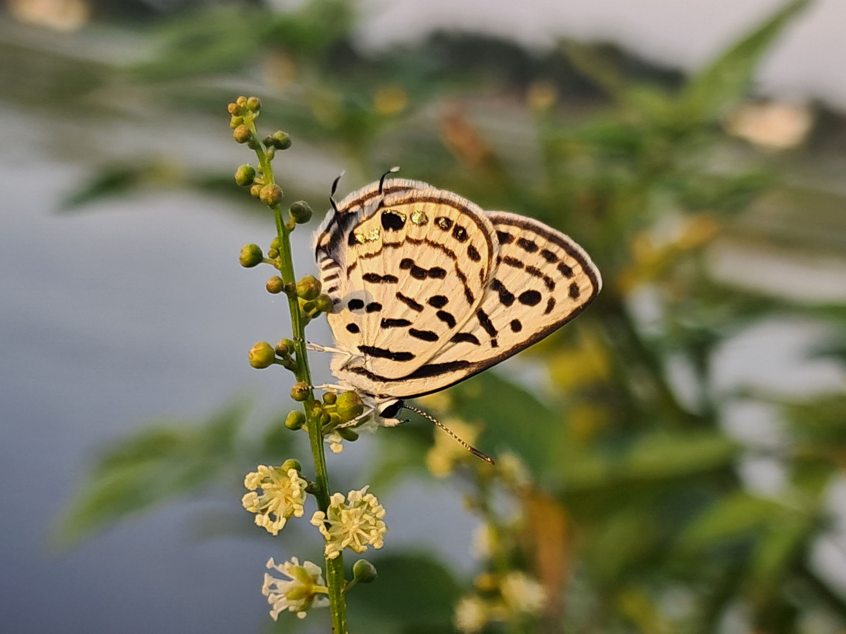 20250724_180604.jpg
