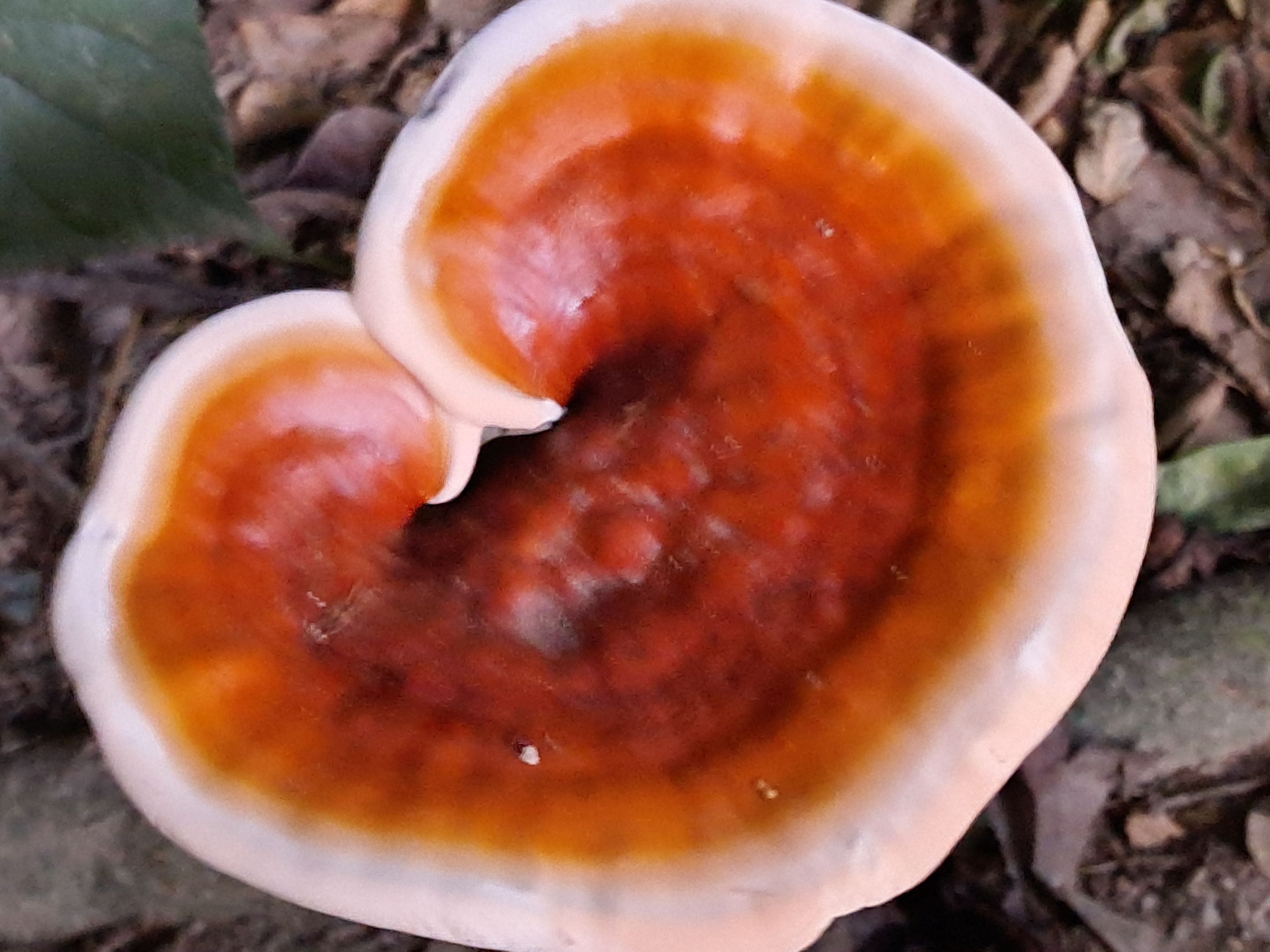 20250811_183918.jpg