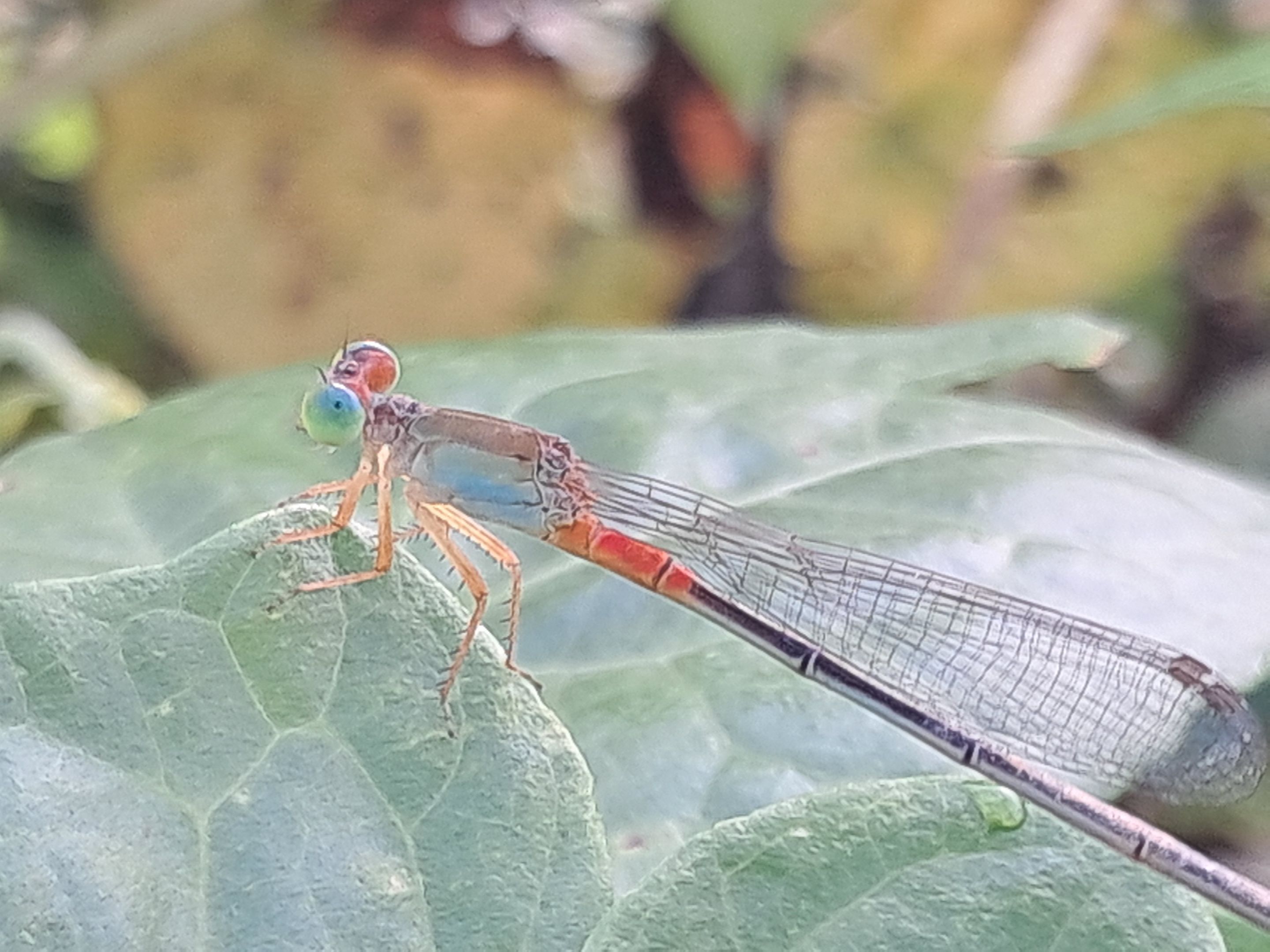 20250518_065150.jpg