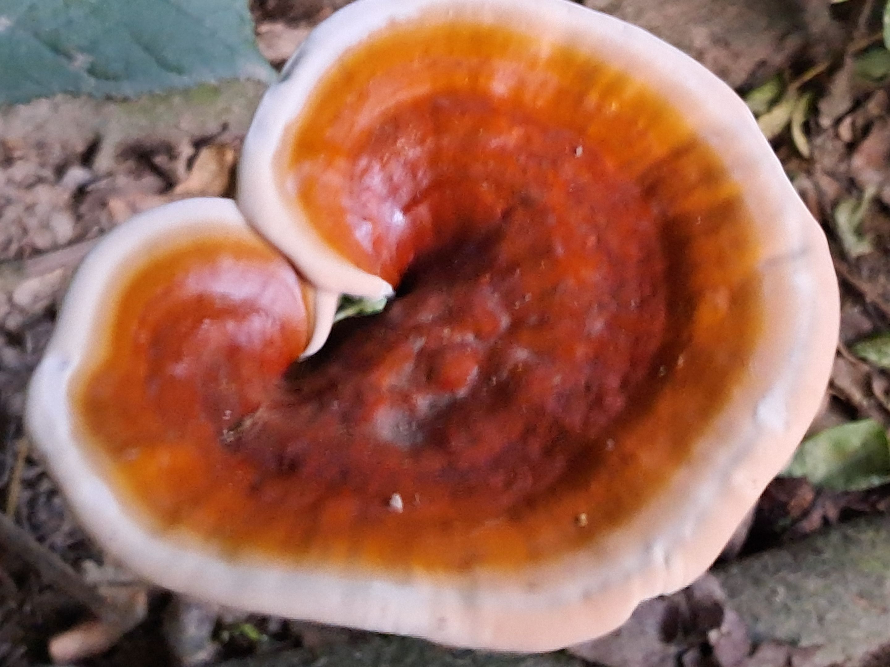 20250811_183902.jpg