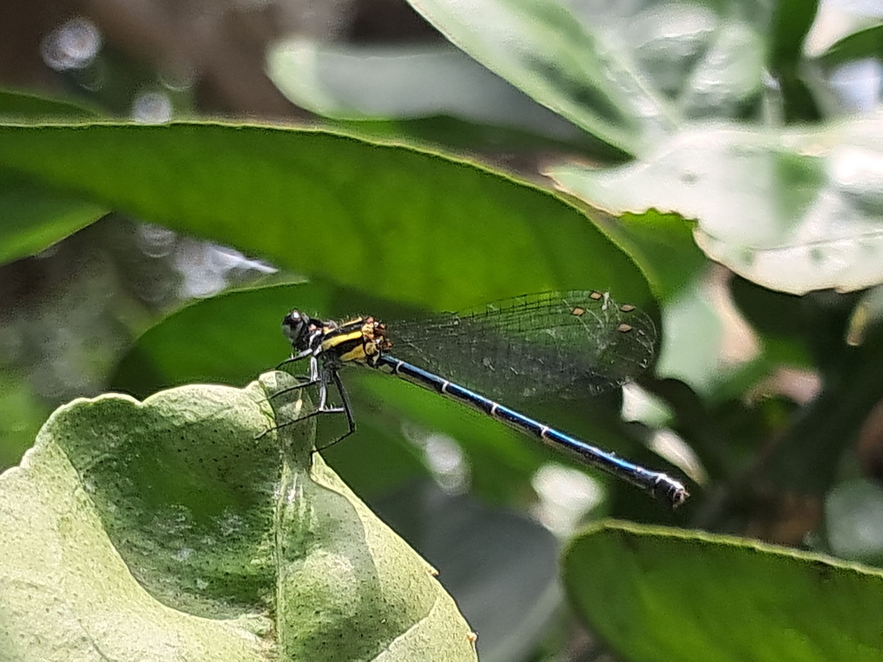 20250830_114040.jpg