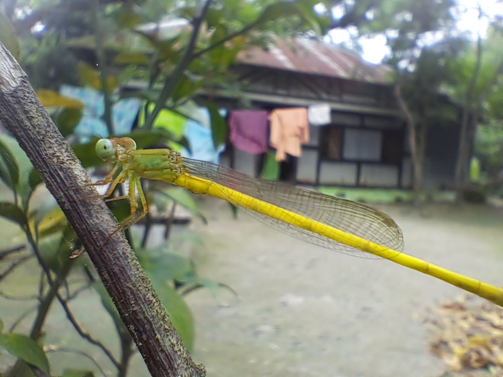 20250830_094223.jpg