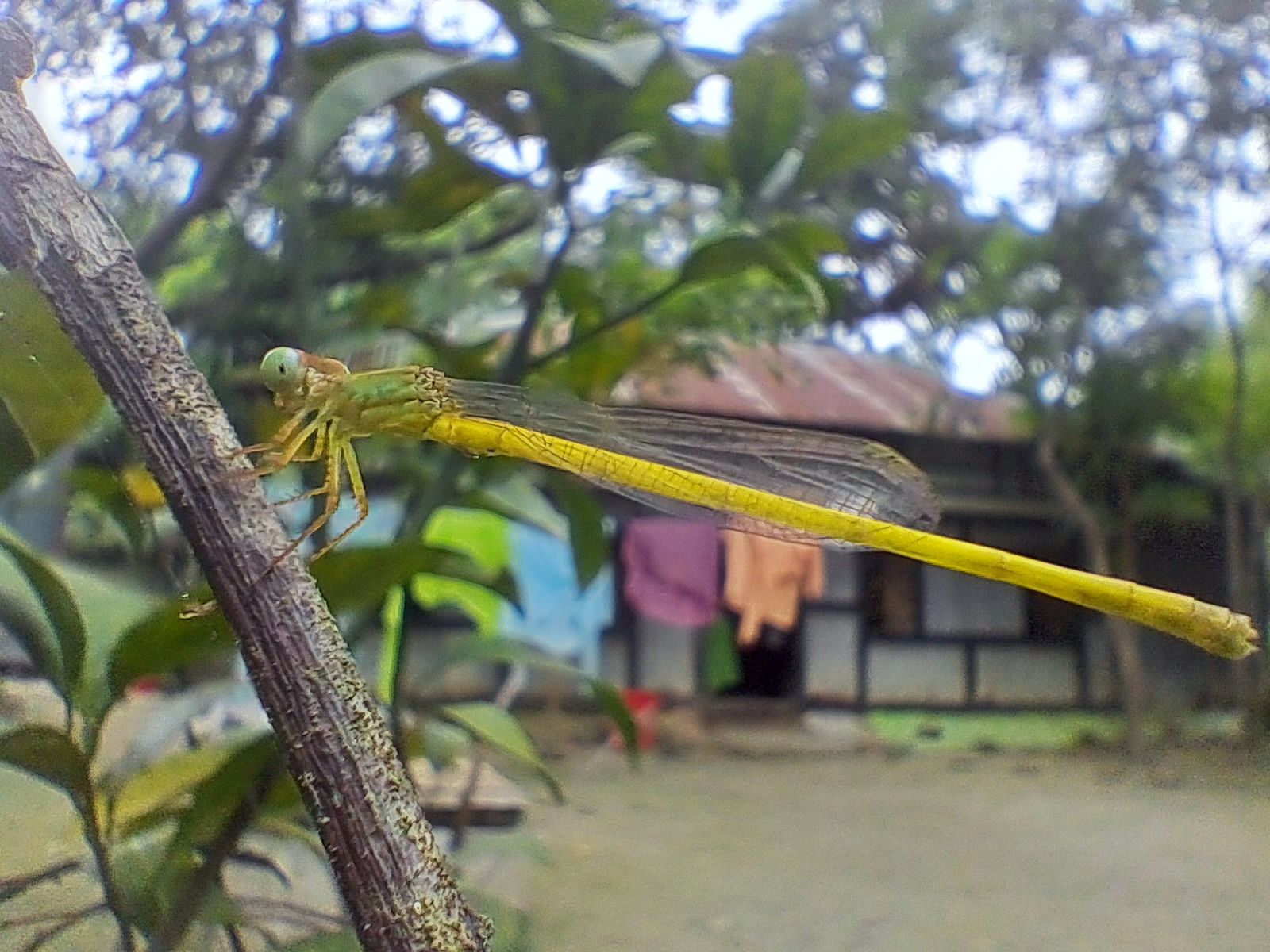 20250830_094227.jpg