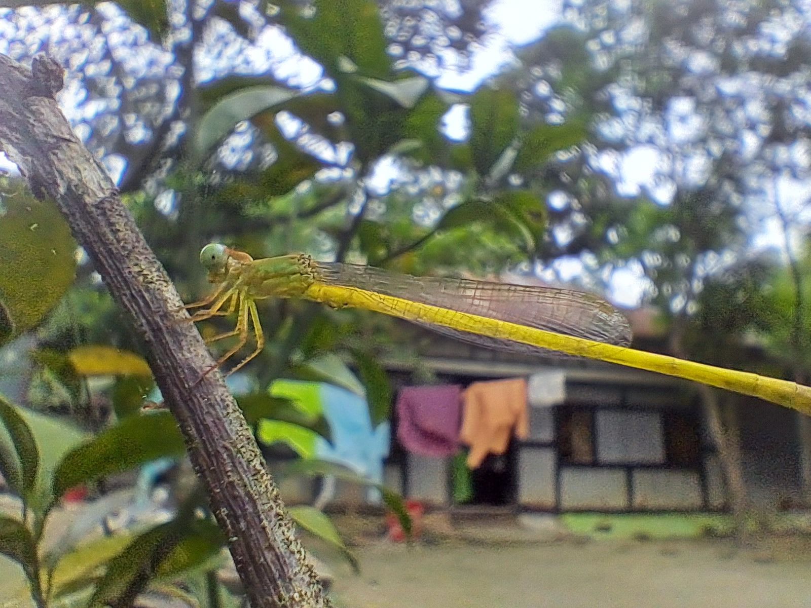 20250830_094229.jpg