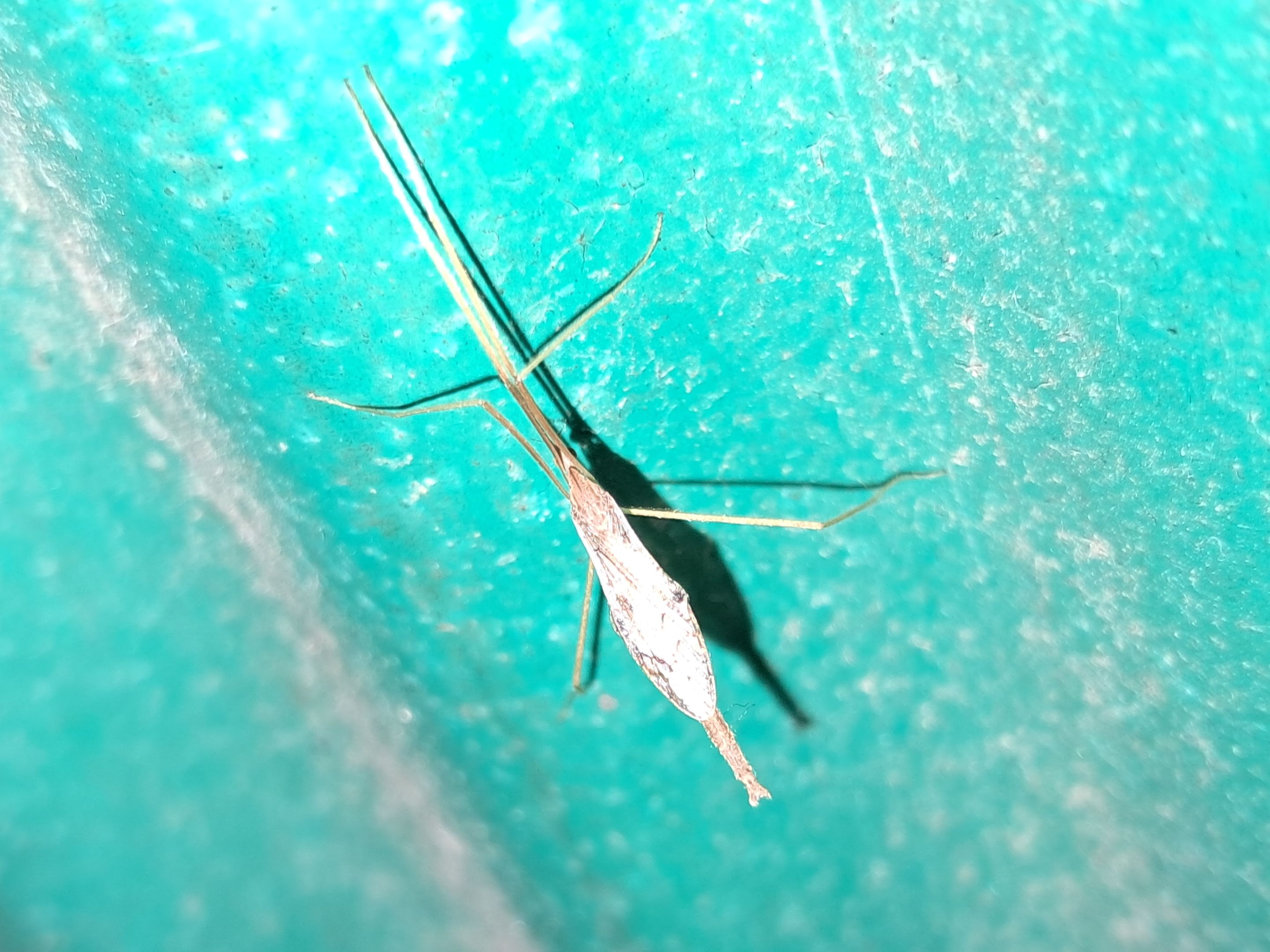20250831_210902.jpg