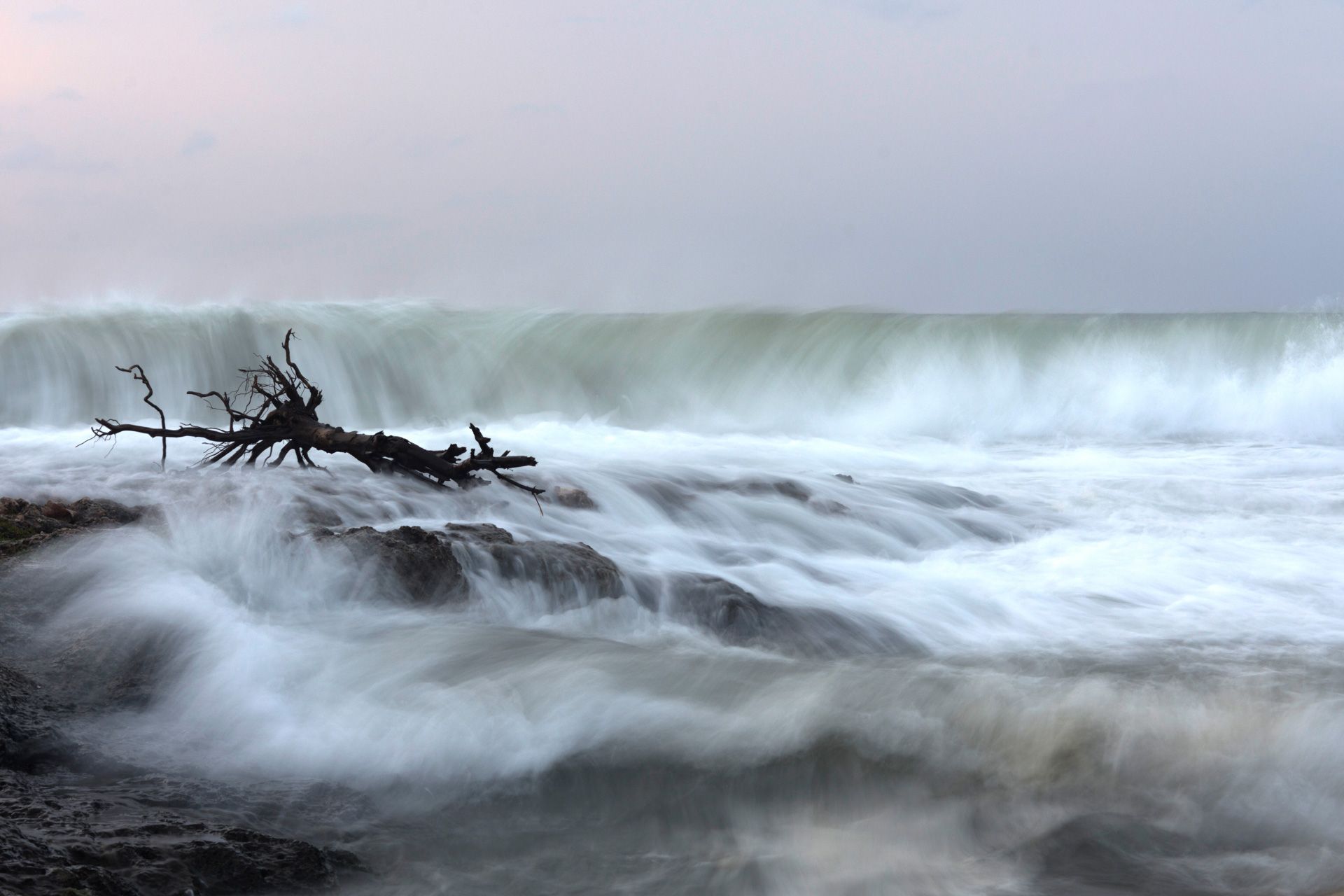 _DSC3319.jpeg