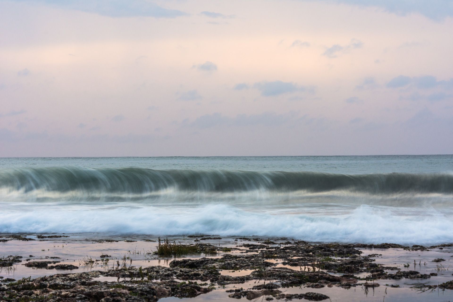 _DSC3338.jpeg