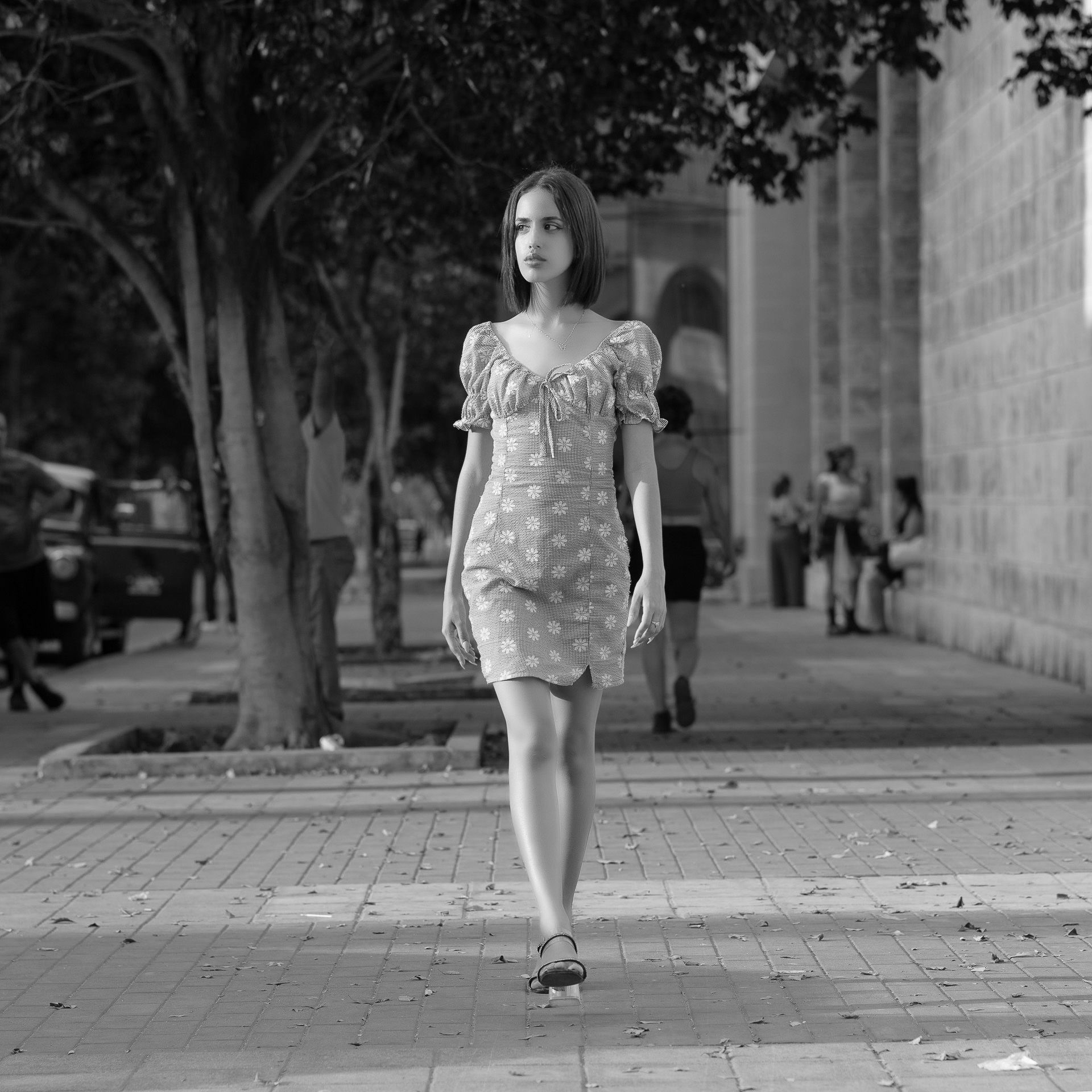 D85_4067 copia hdbn.jpg