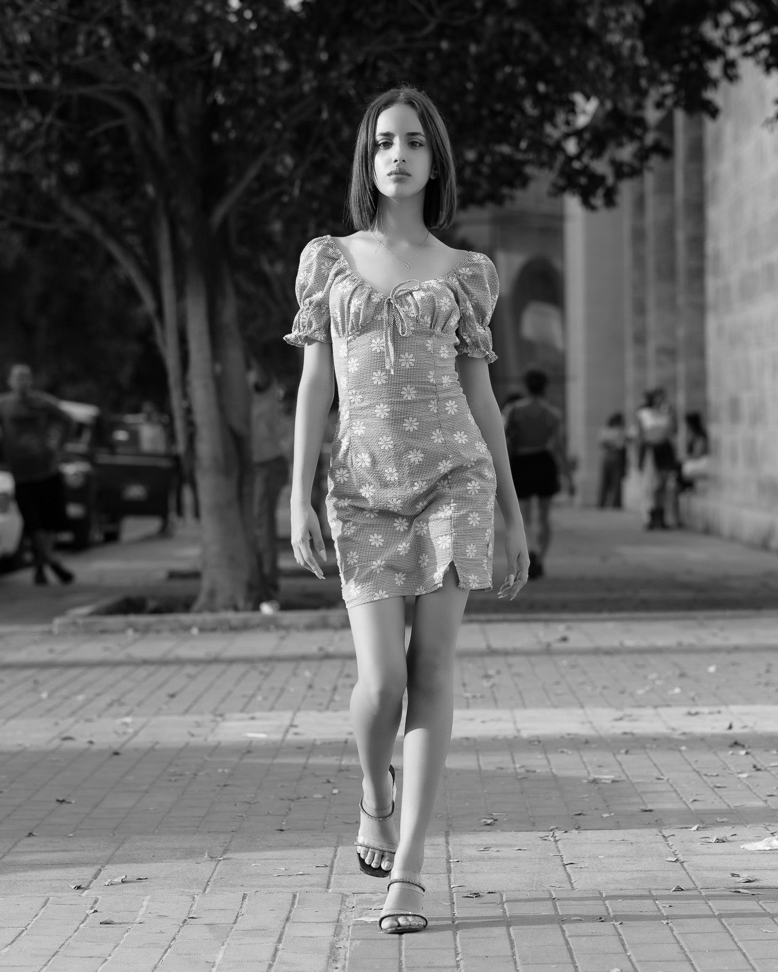 D85_4075 copia hdbn.jpg