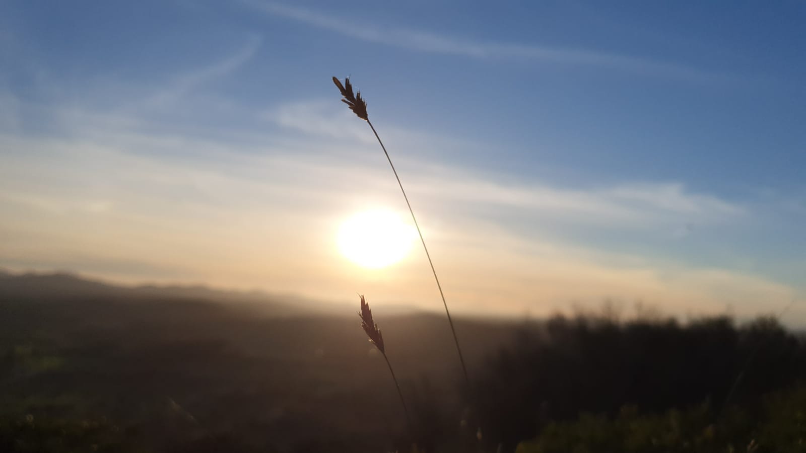 IMG20210211WA0021.jpg