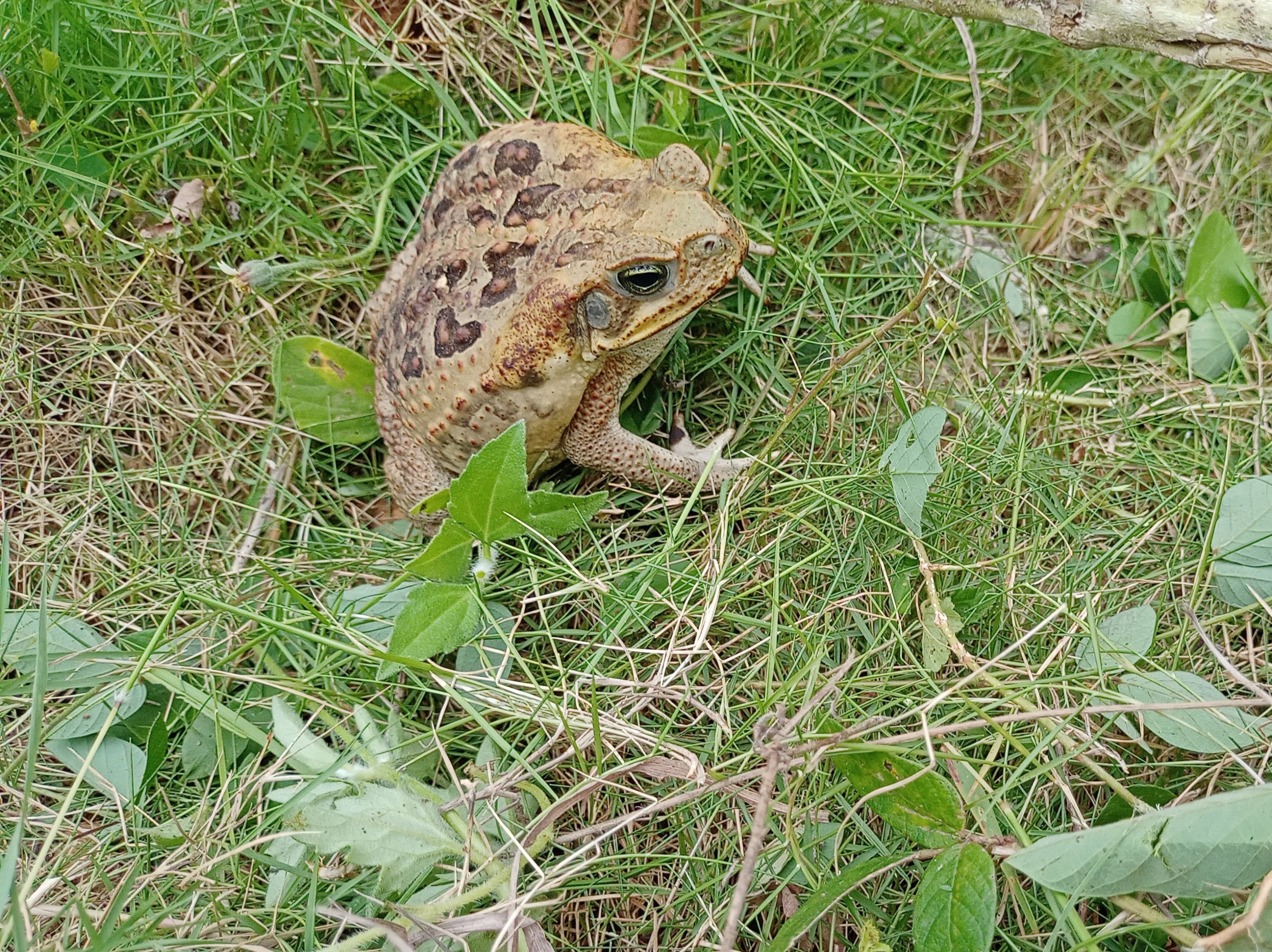 IMG20221024094613.jpg