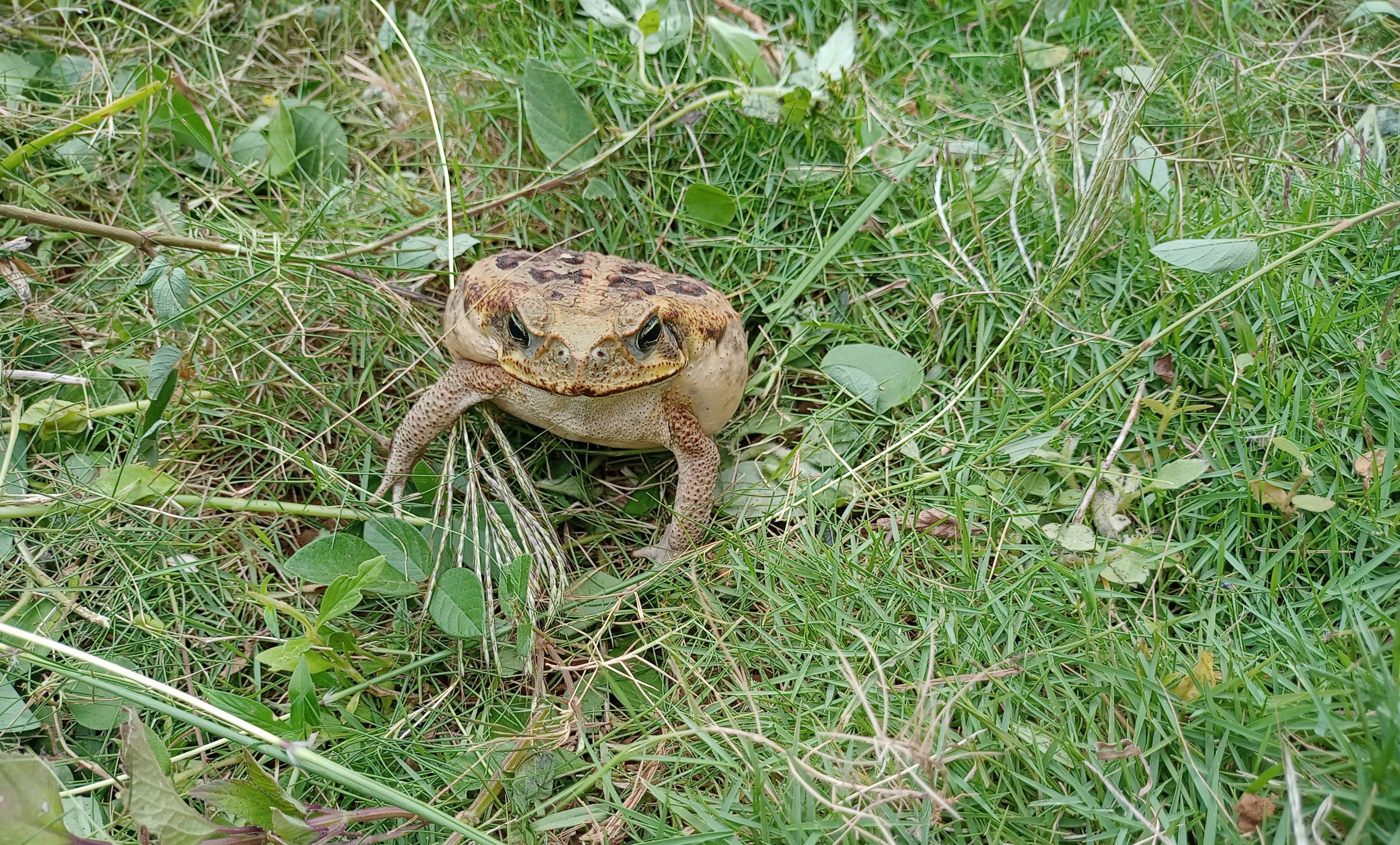 IMG20221024094638.jpg