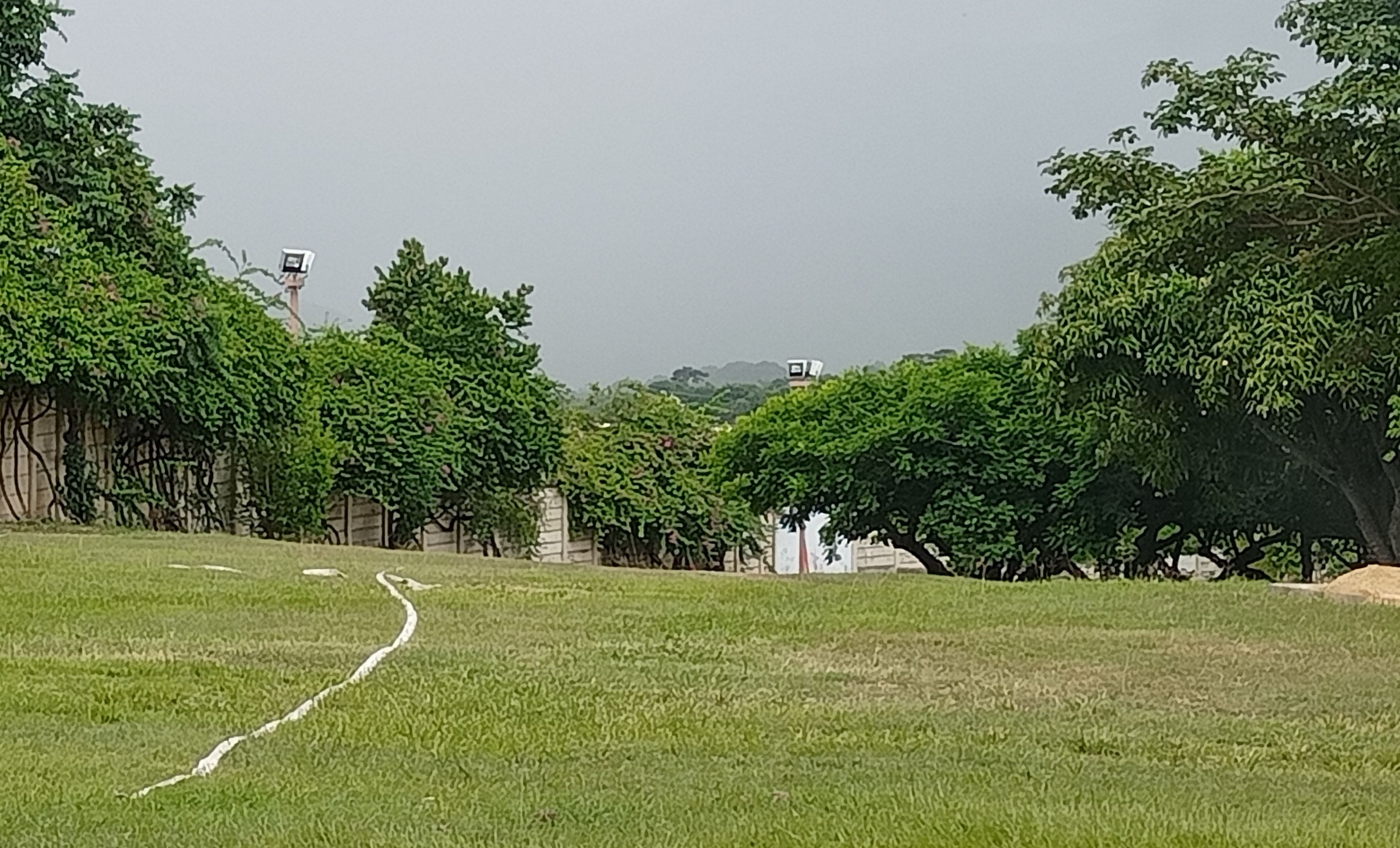 1000581316.jpg