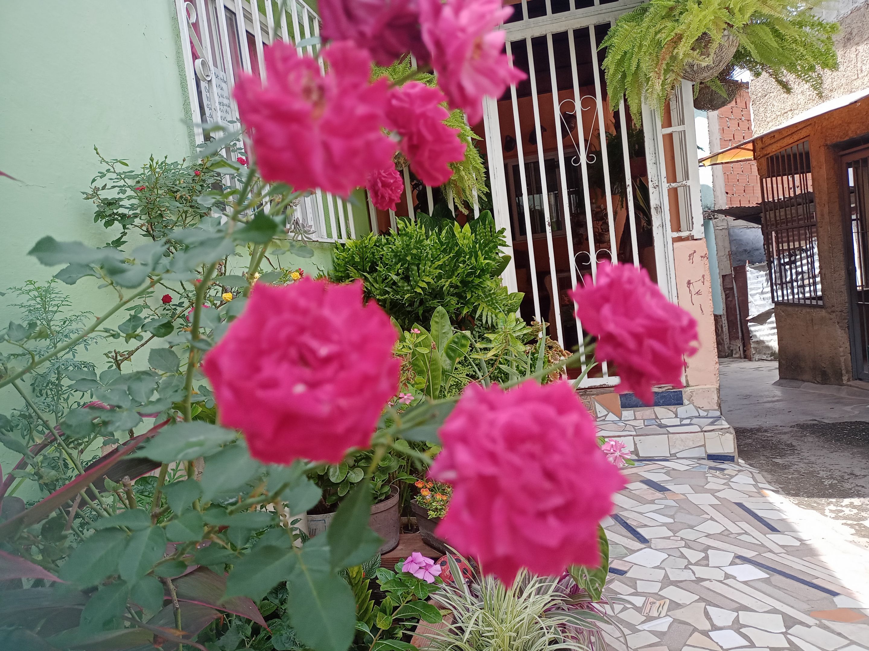 1000625070.jpg