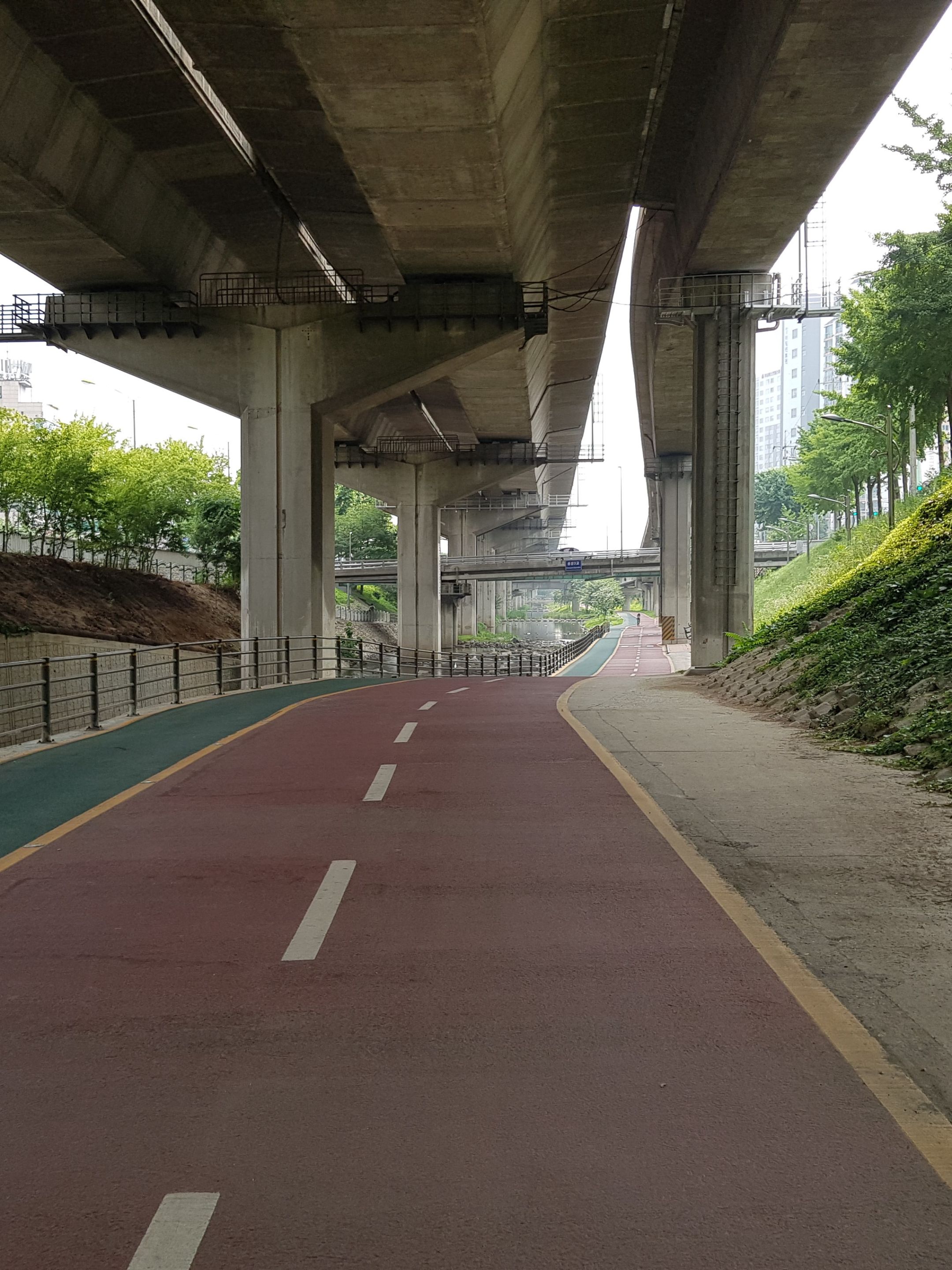 hongjaecheon-yeouido (3).jpg