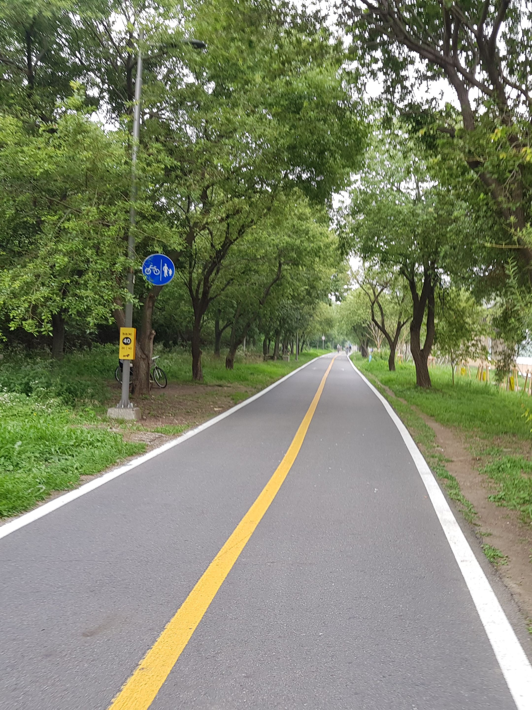 hongjaecheon-yeouido (7).jpg