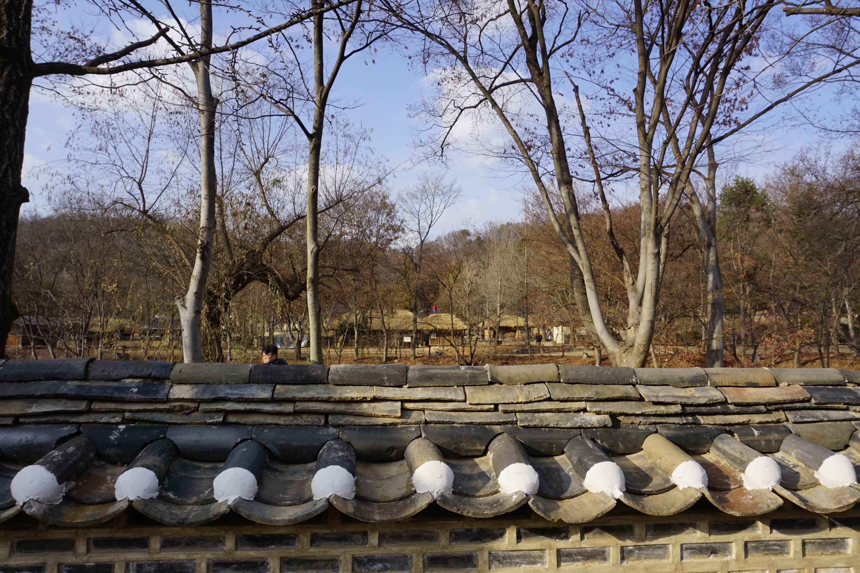 richer village (11).JPG