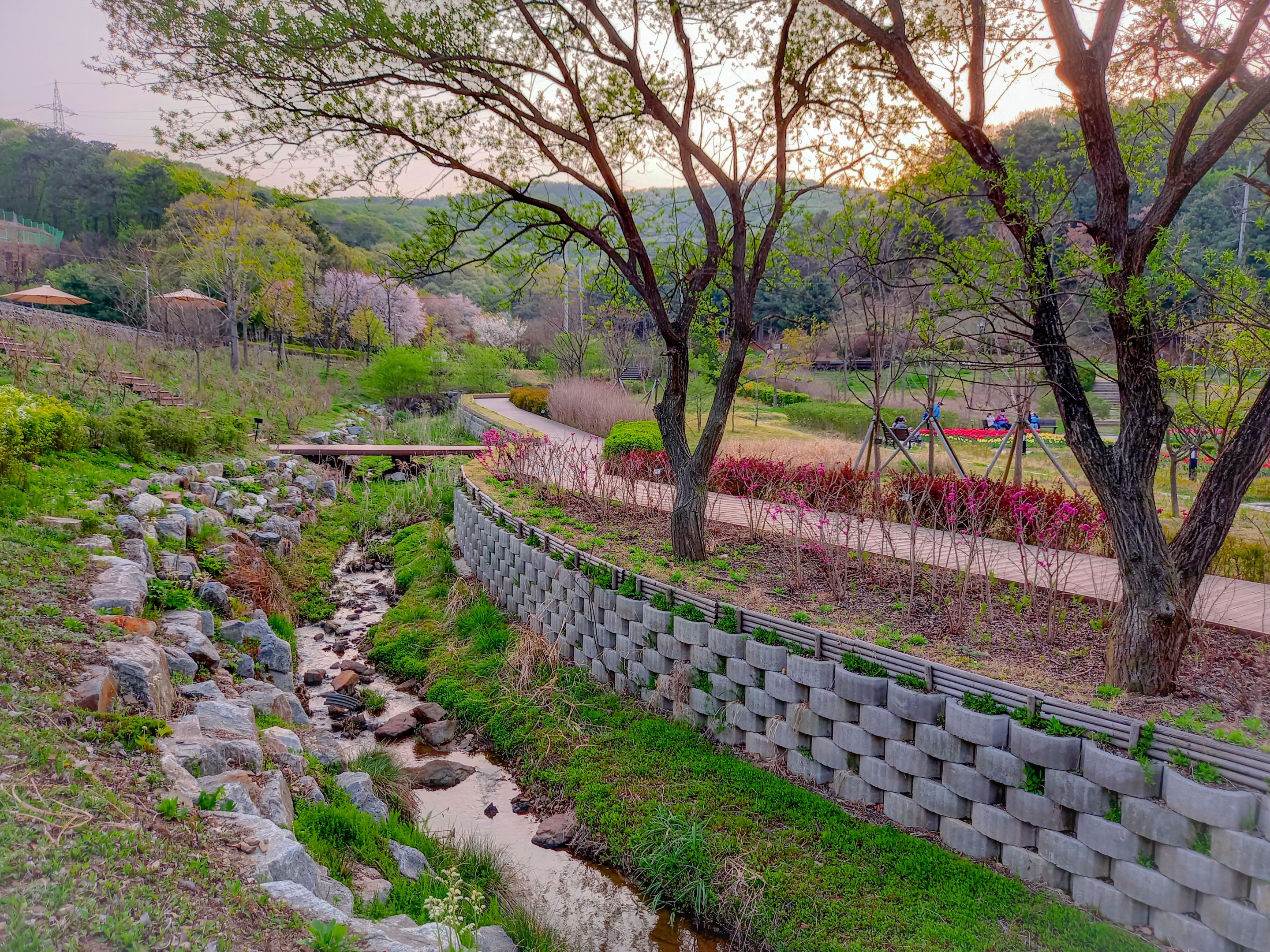 Valley Park (12).jpg