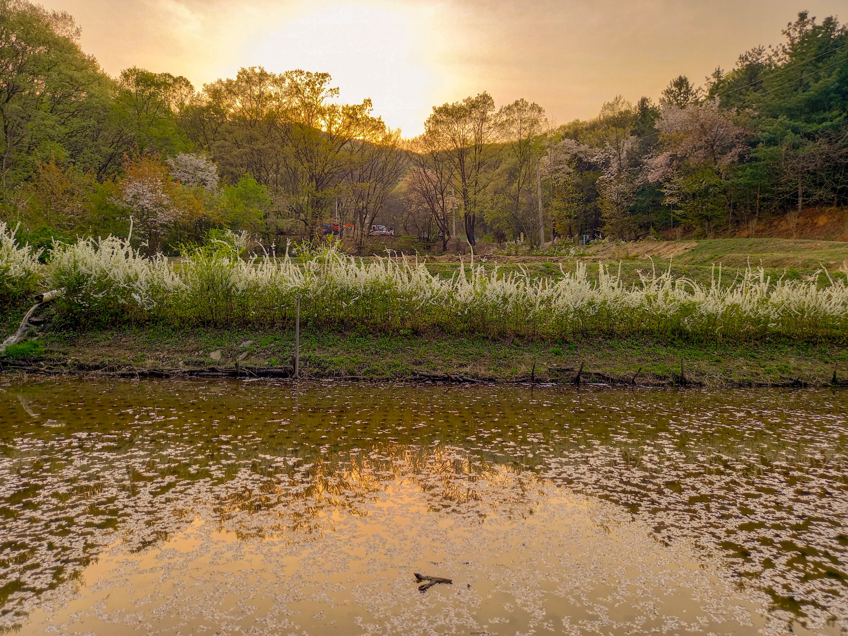 Valley Park (10).jpg