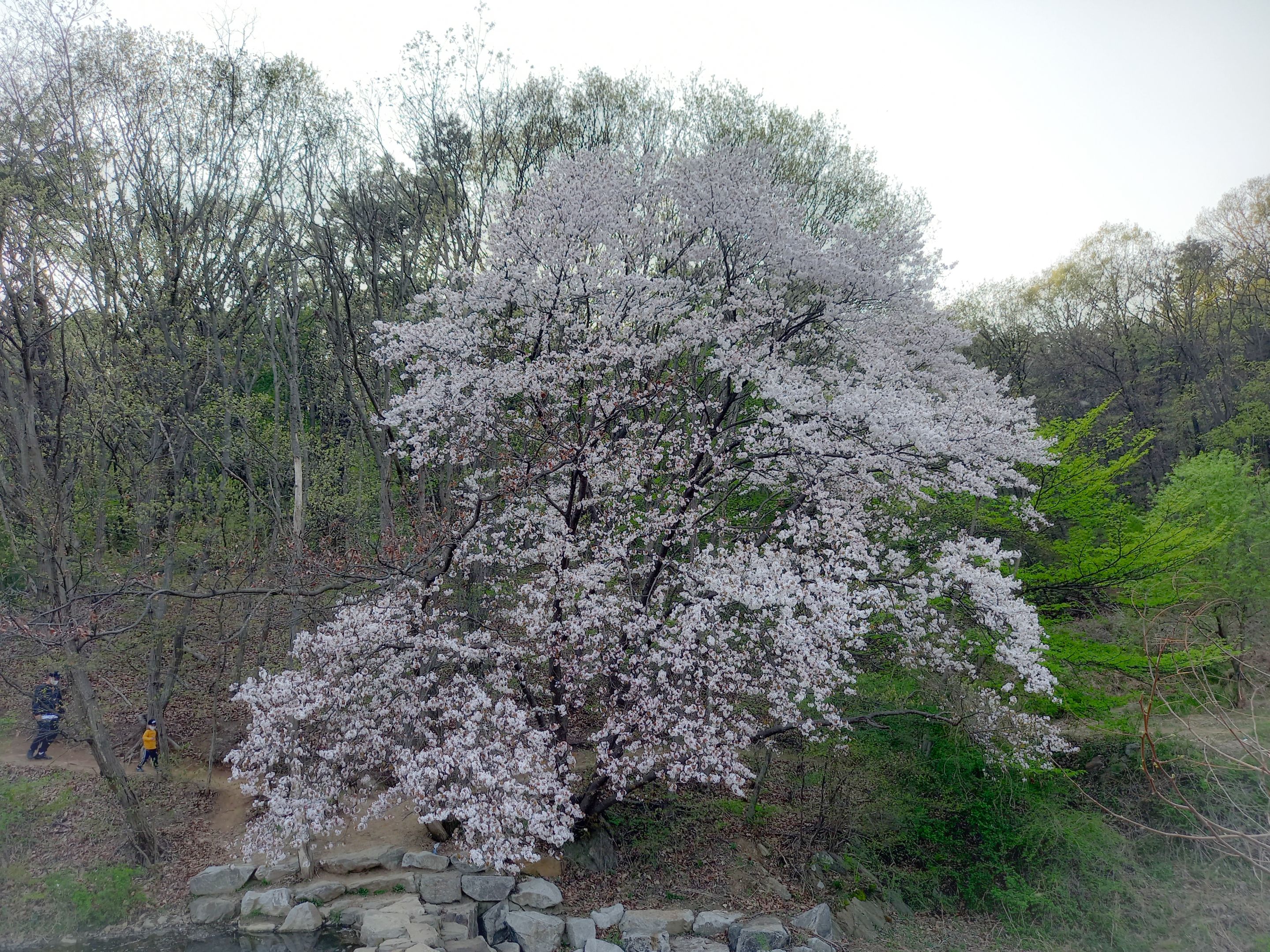 Valley Park (9).jpg