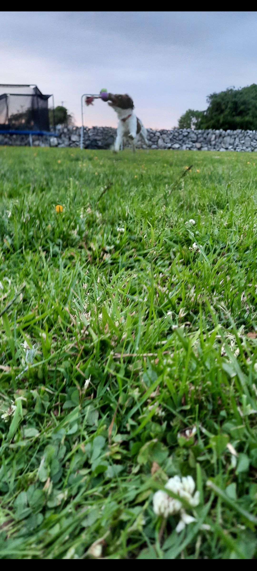 Screenshot_20220604-215613_Gallery.jpg