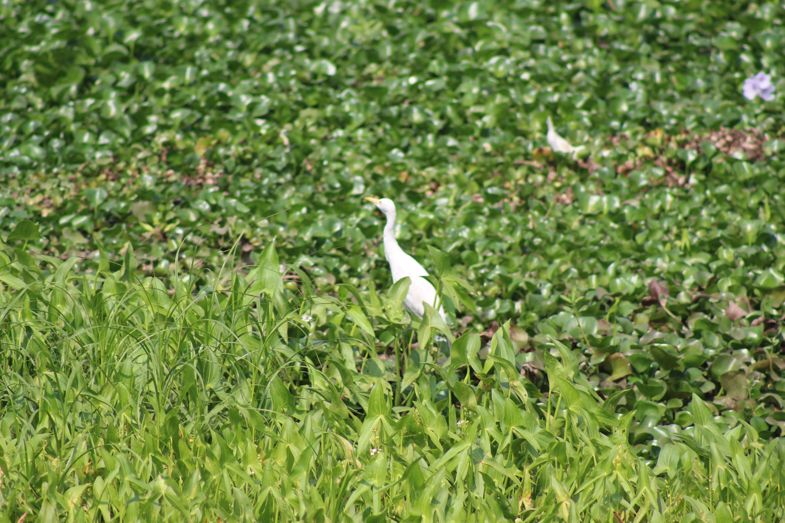IMG_3031.JPG