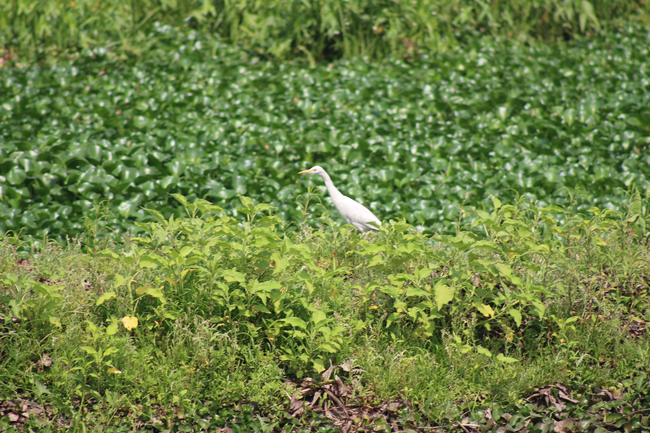 IMG_3029.JPG