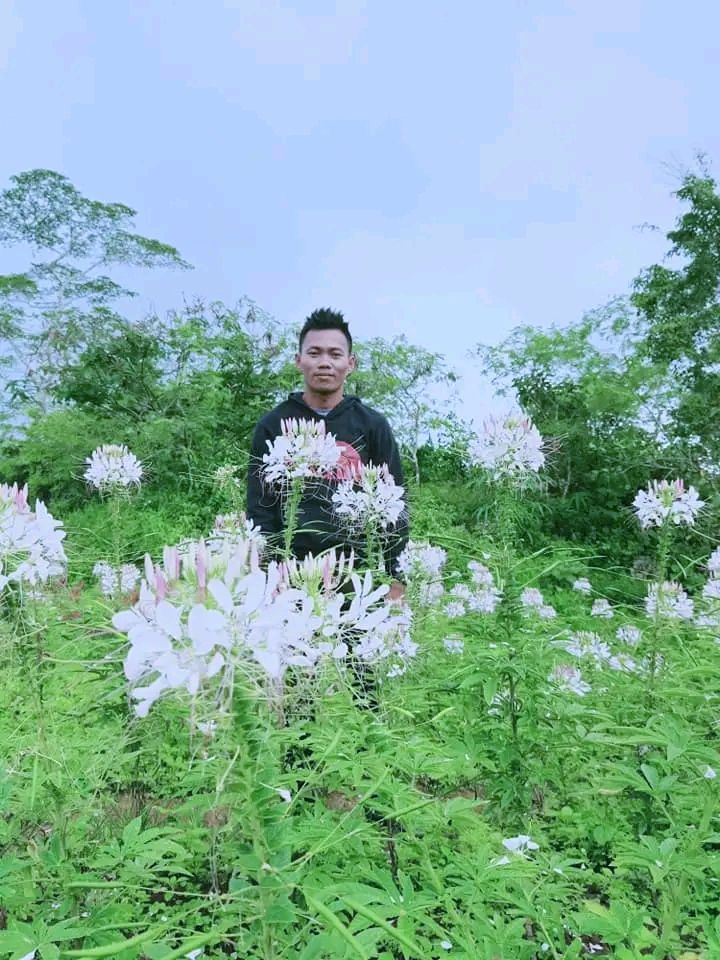 23vPErinQFdwpUVPzvRKGzxEX5c3qUo4BztTeeK1Vk5Gnd6V5nNbDqfrMPwGKQxPceo4N.jpg