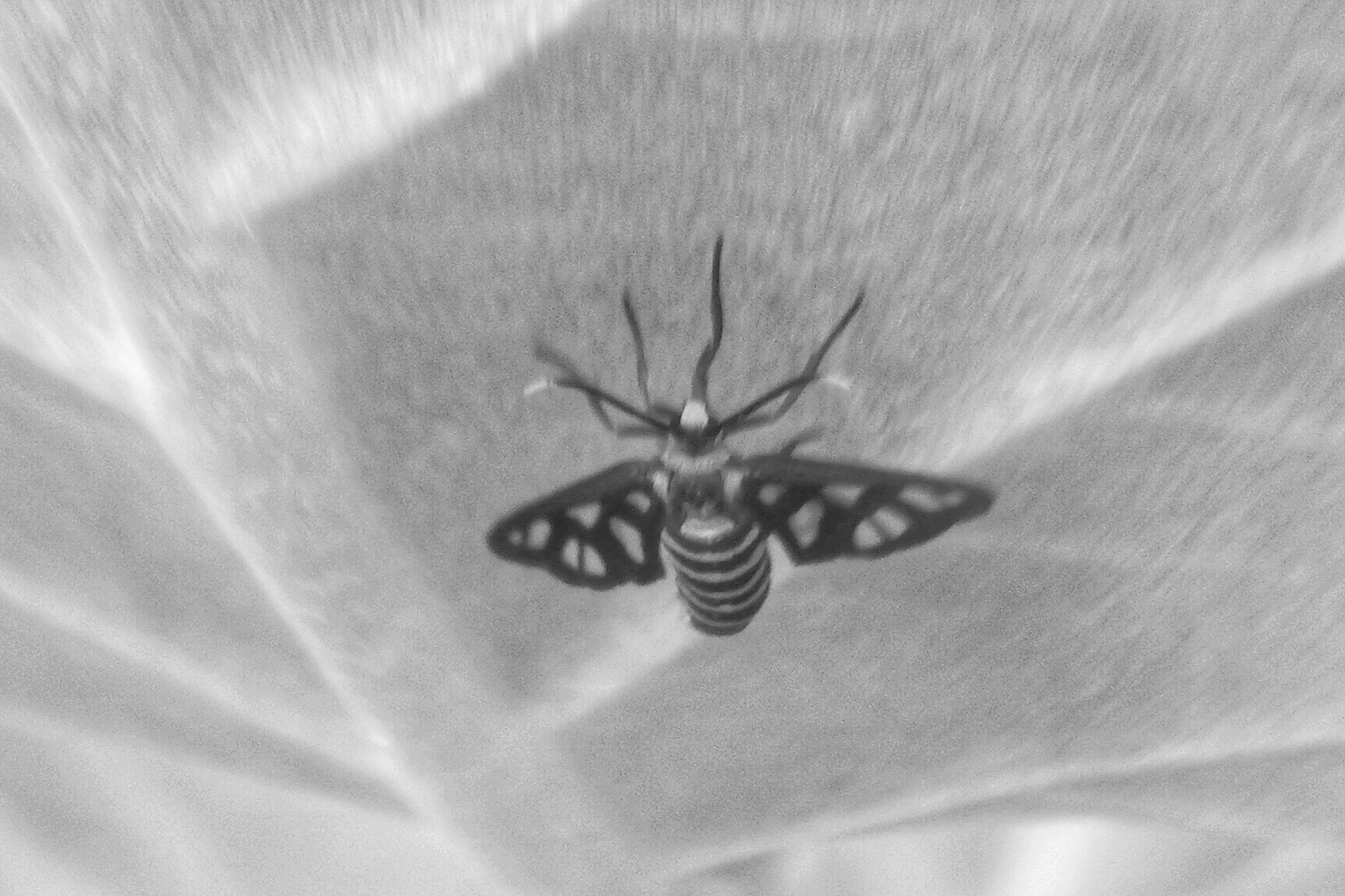 IMG_20210522_161520-01.jpeg