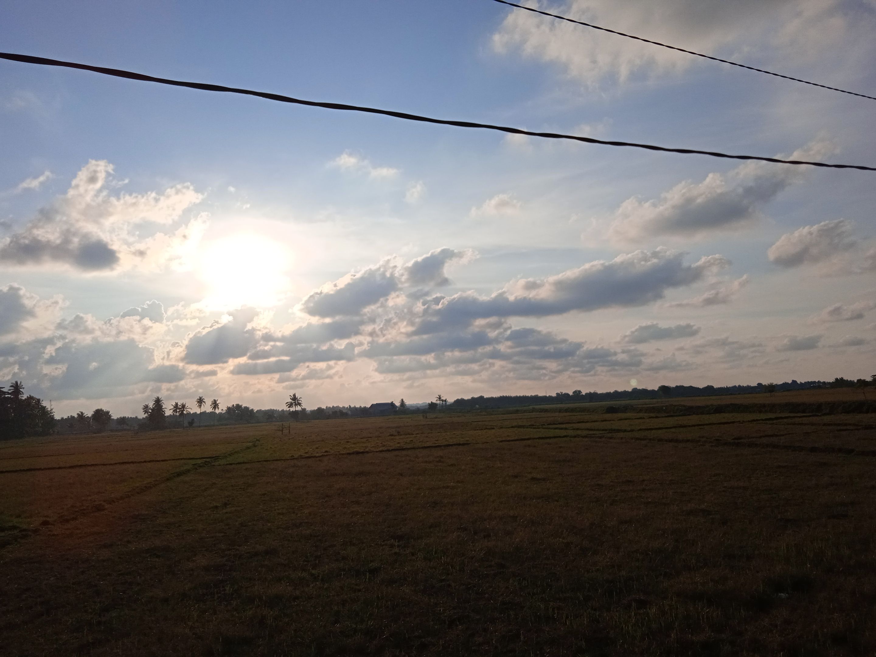 IMG_20210905_174750.jpg