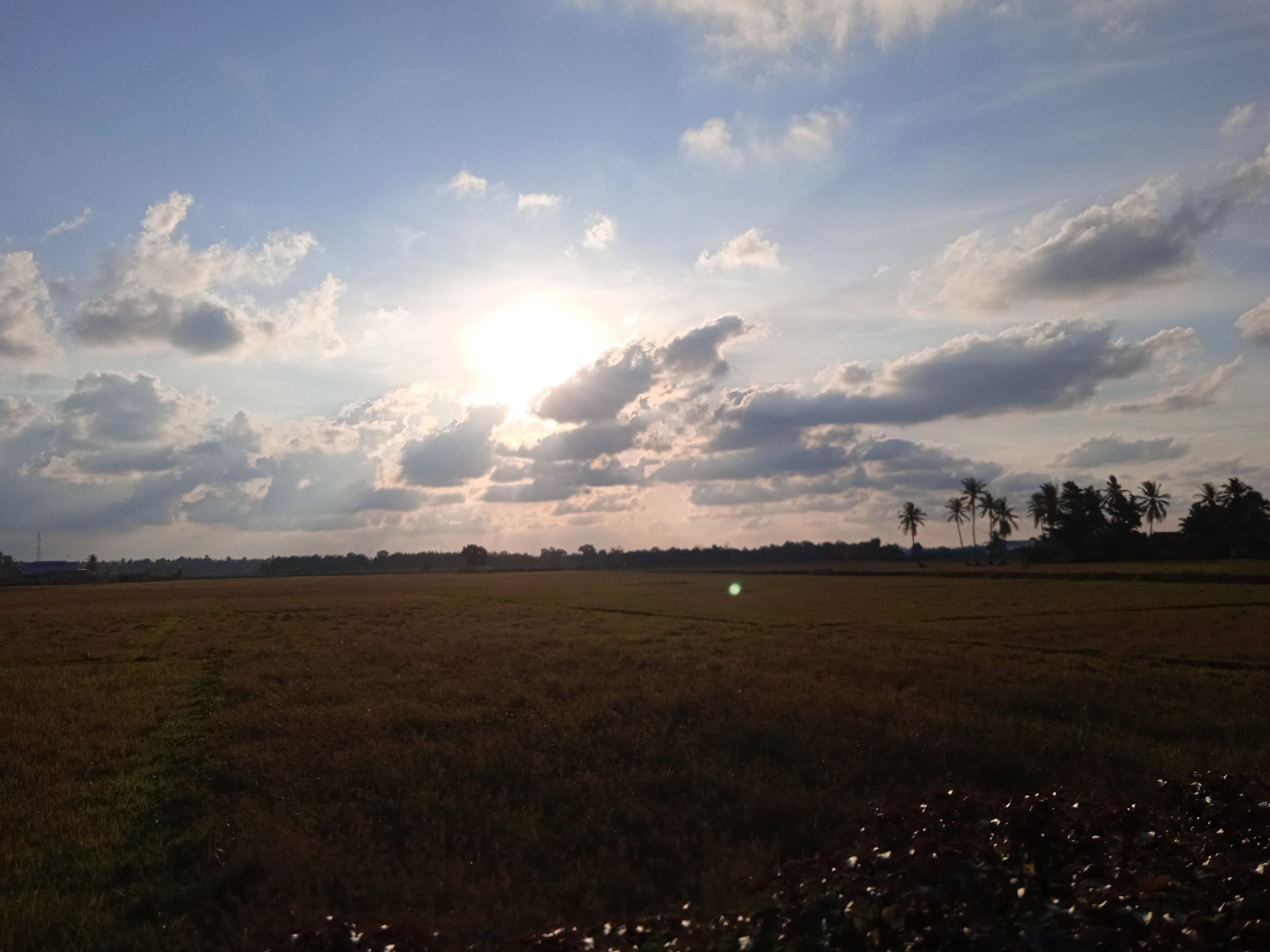 IMG_20210905_174817.jpg