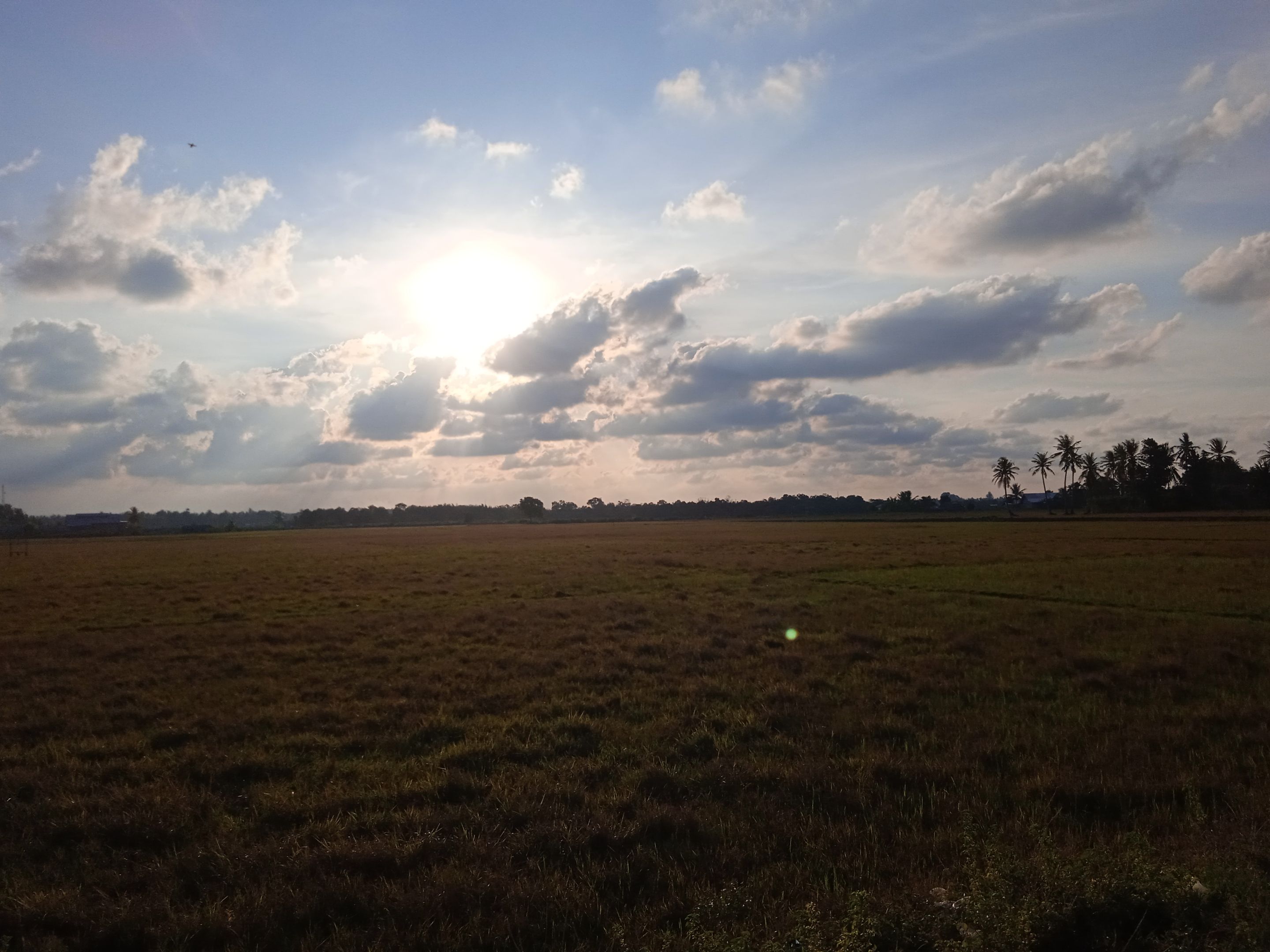 IMG_20210905_174813_1.jpg