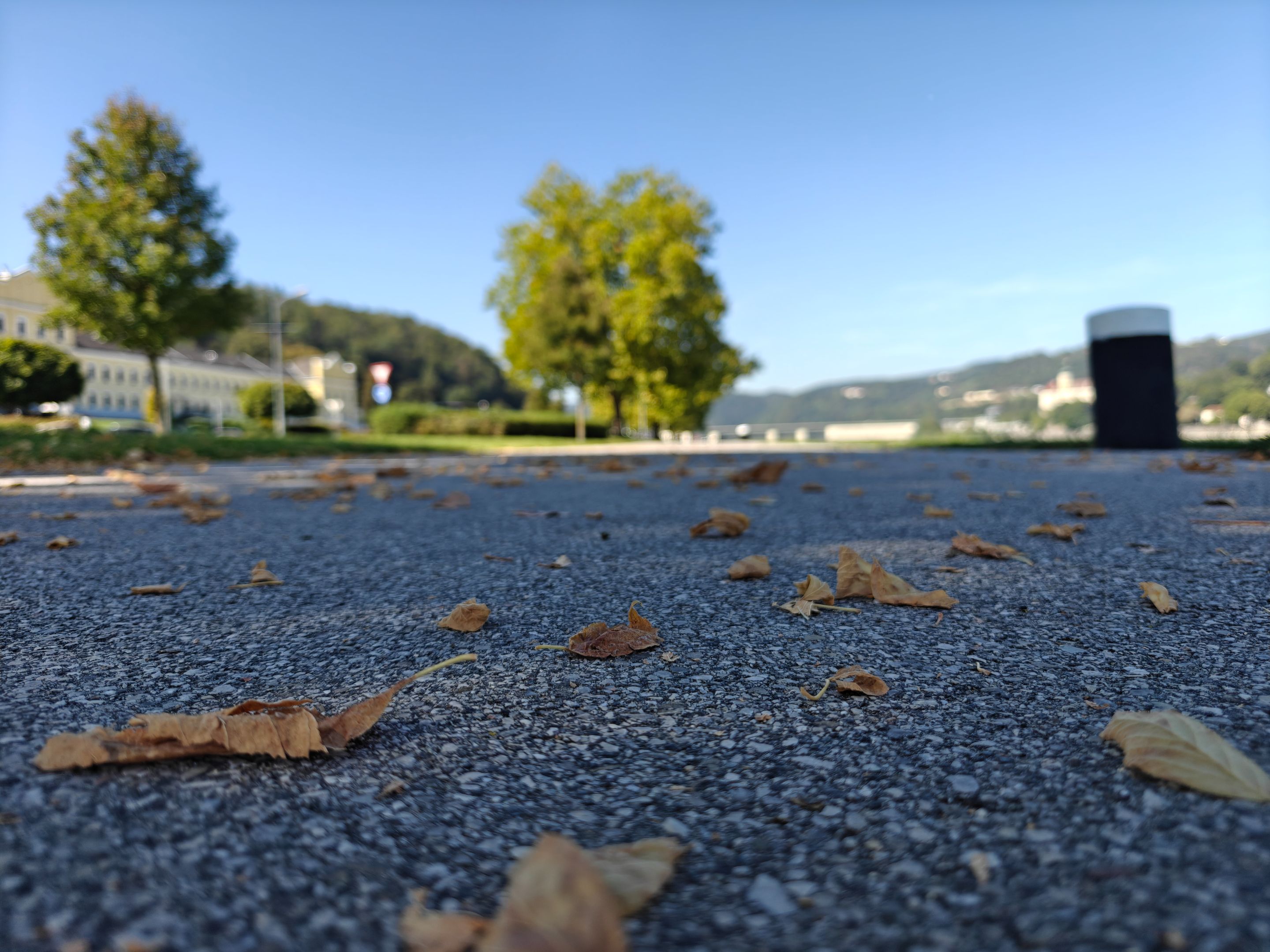 1000061747.jpg