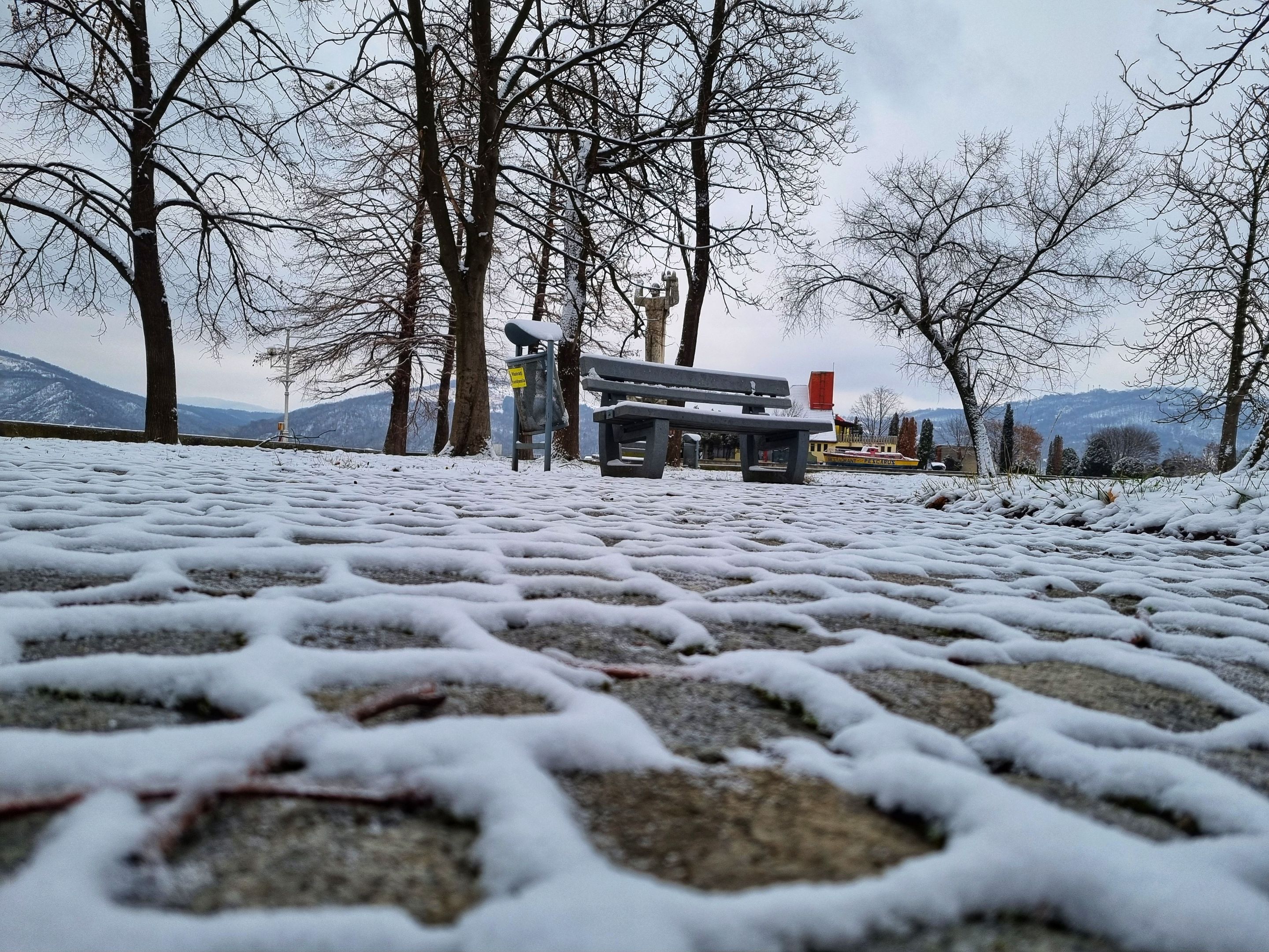 20240109_113309-01.jpeg