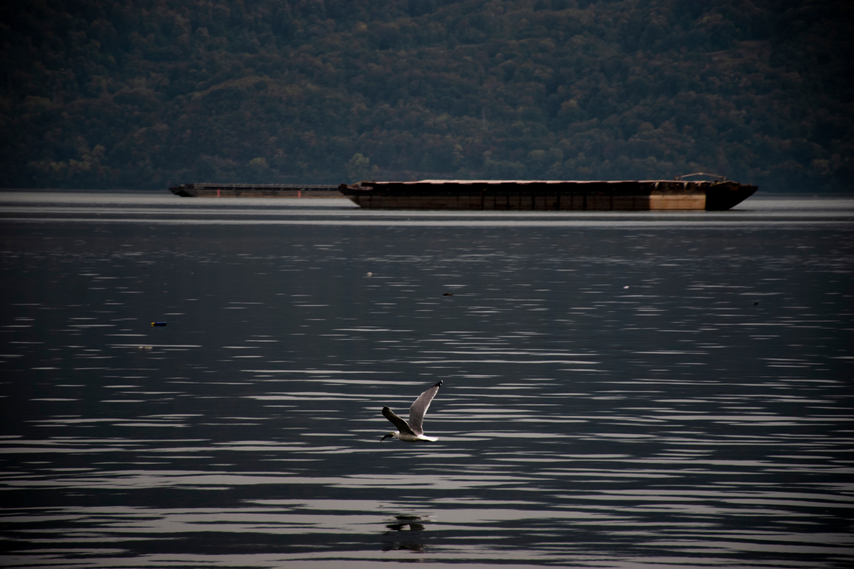DSC_0053.jpg