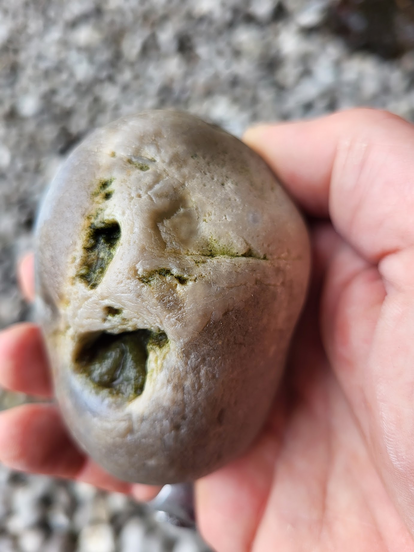 image.jpeg