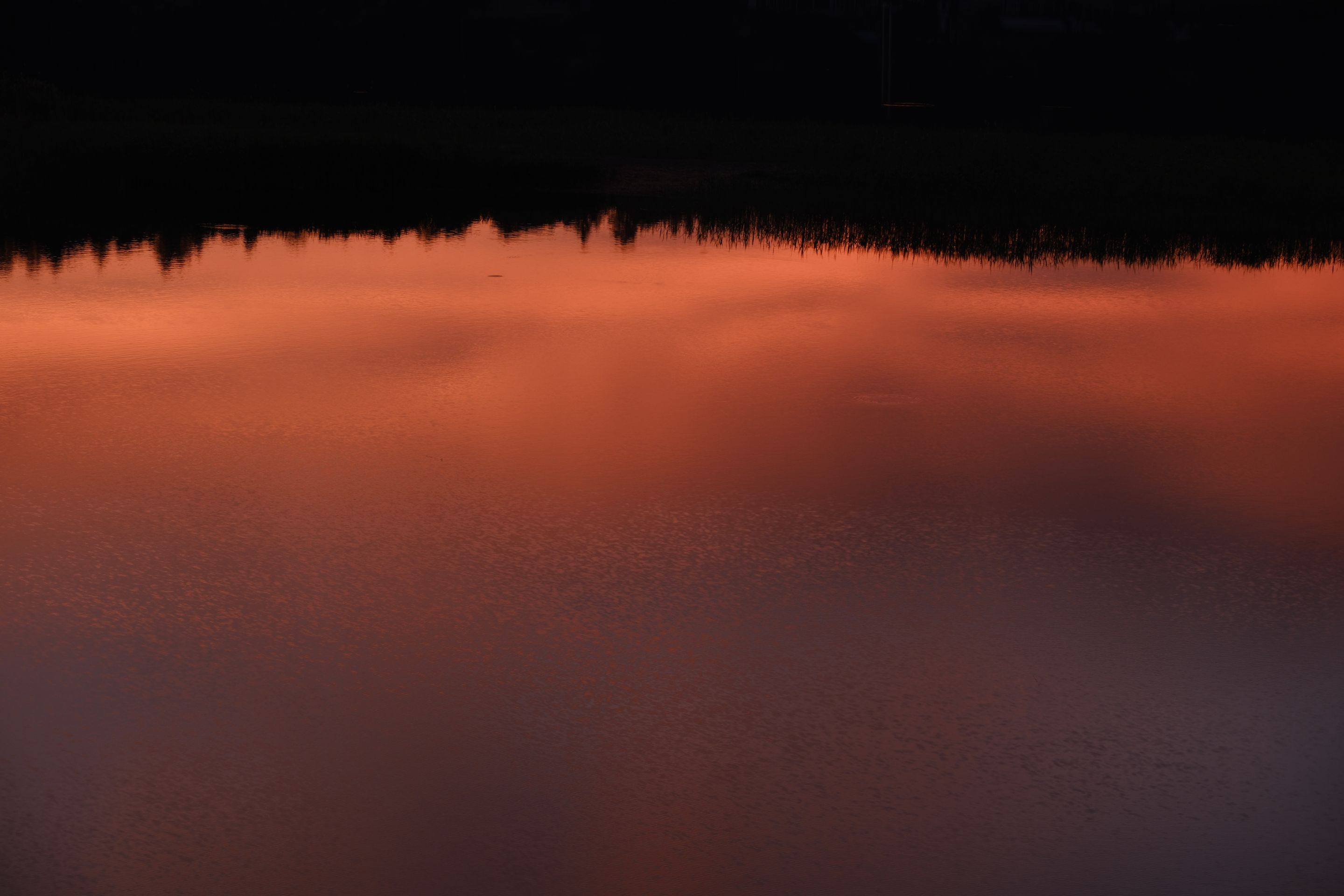 DSCF0590.JPG