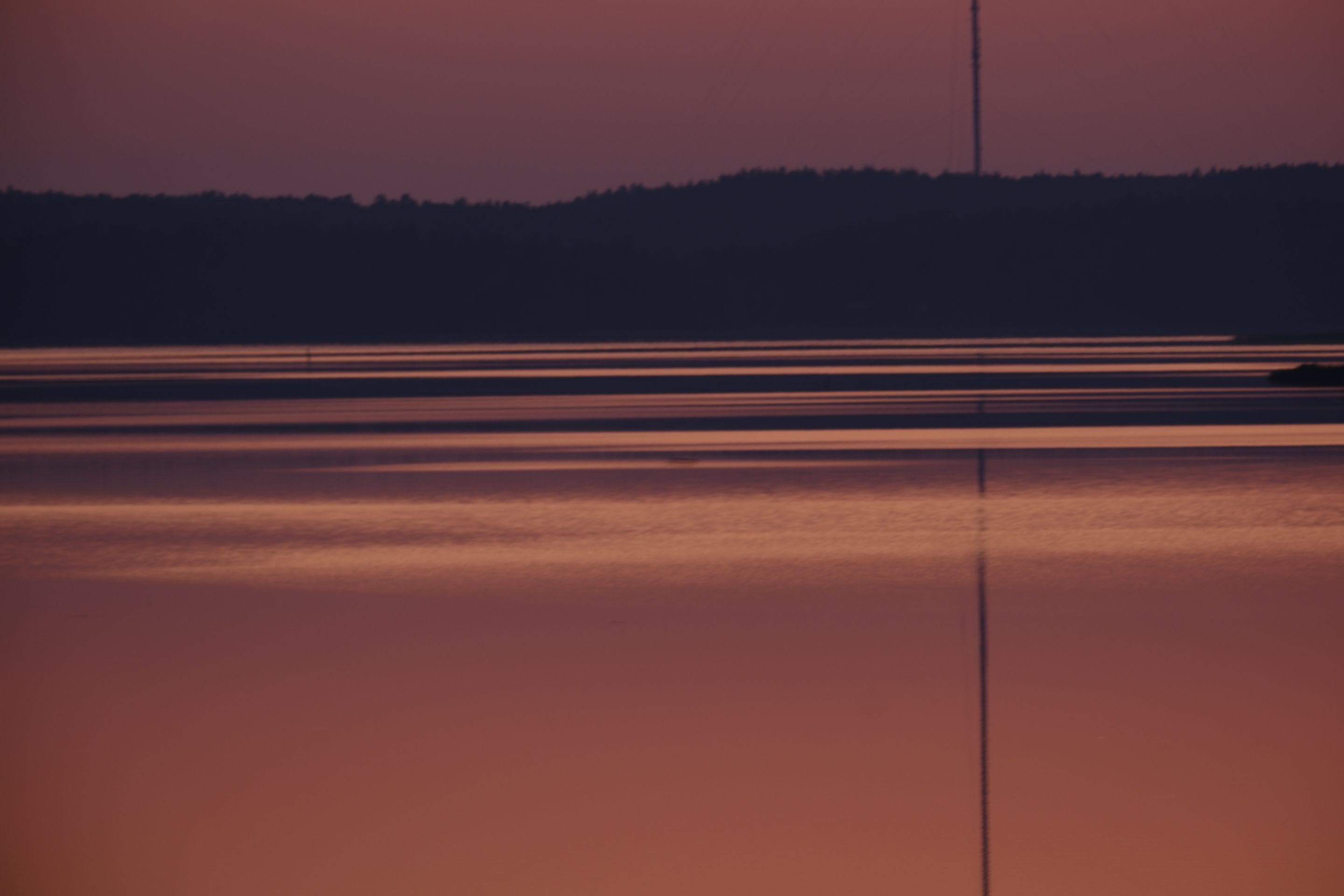 DSCF0599.JPG
